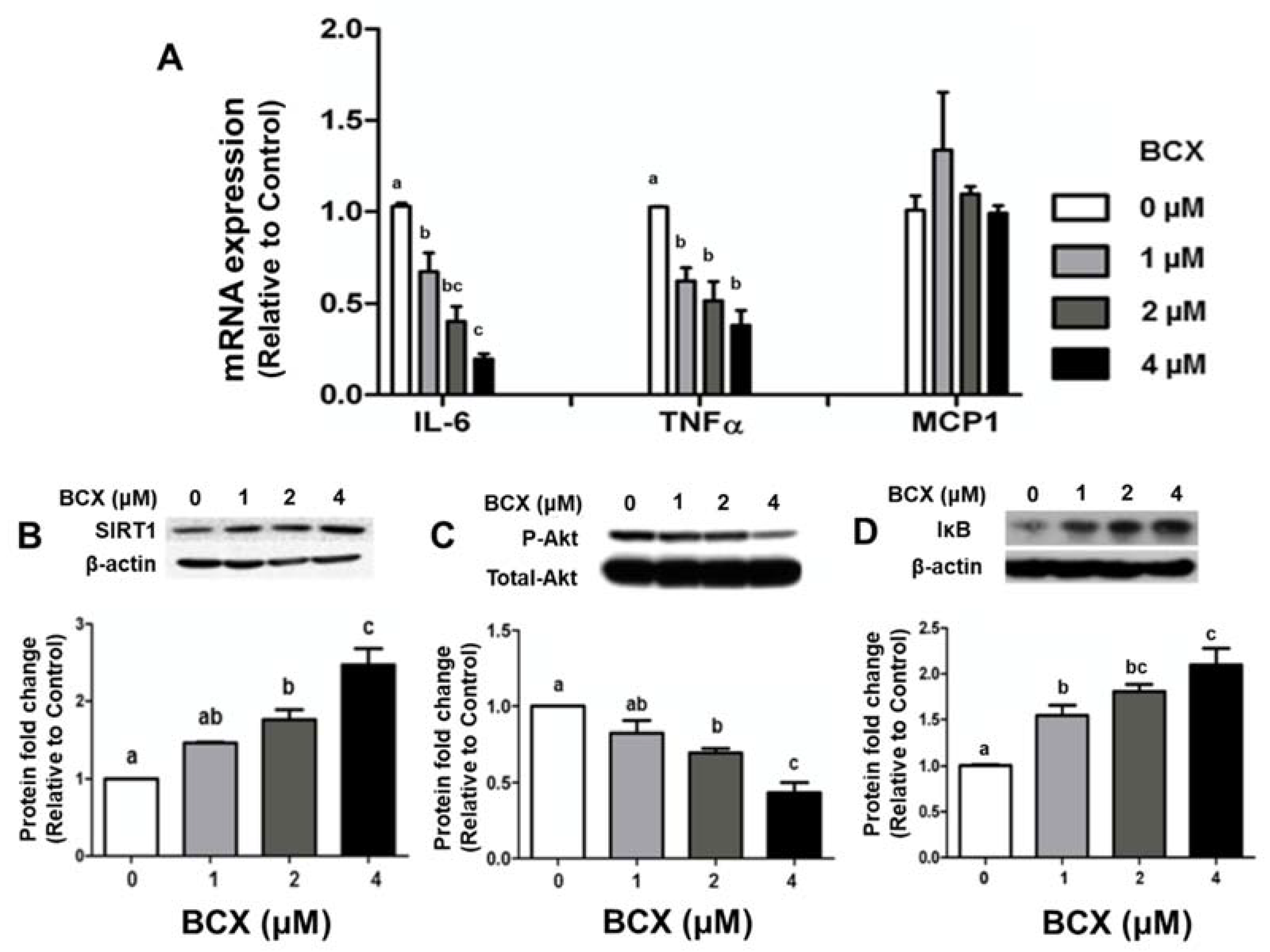 Molecules 28 01383 g005 Molecules 28 01383 g005