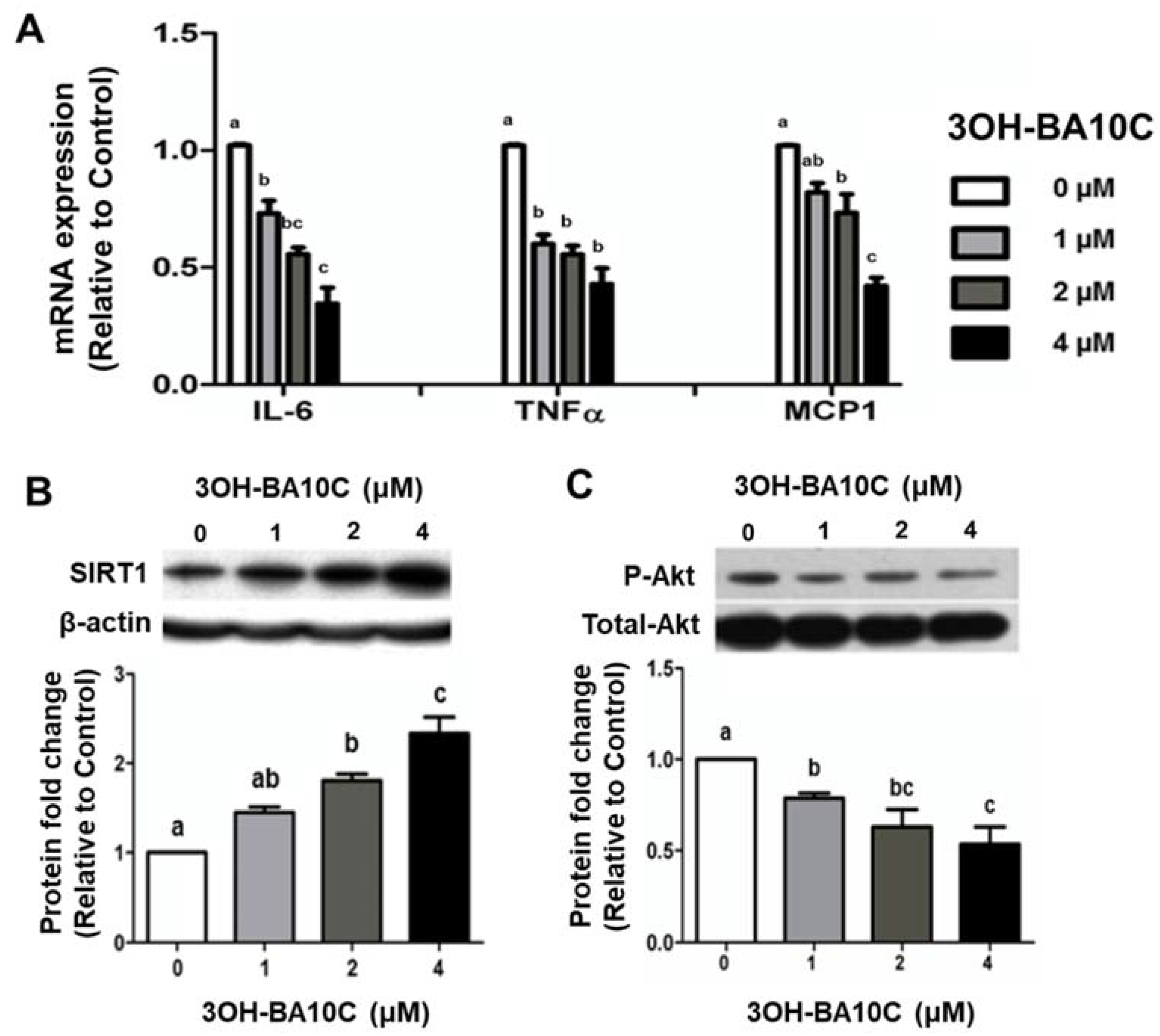 Molecules 28 01383 g006 Molecules 28 01383 g006