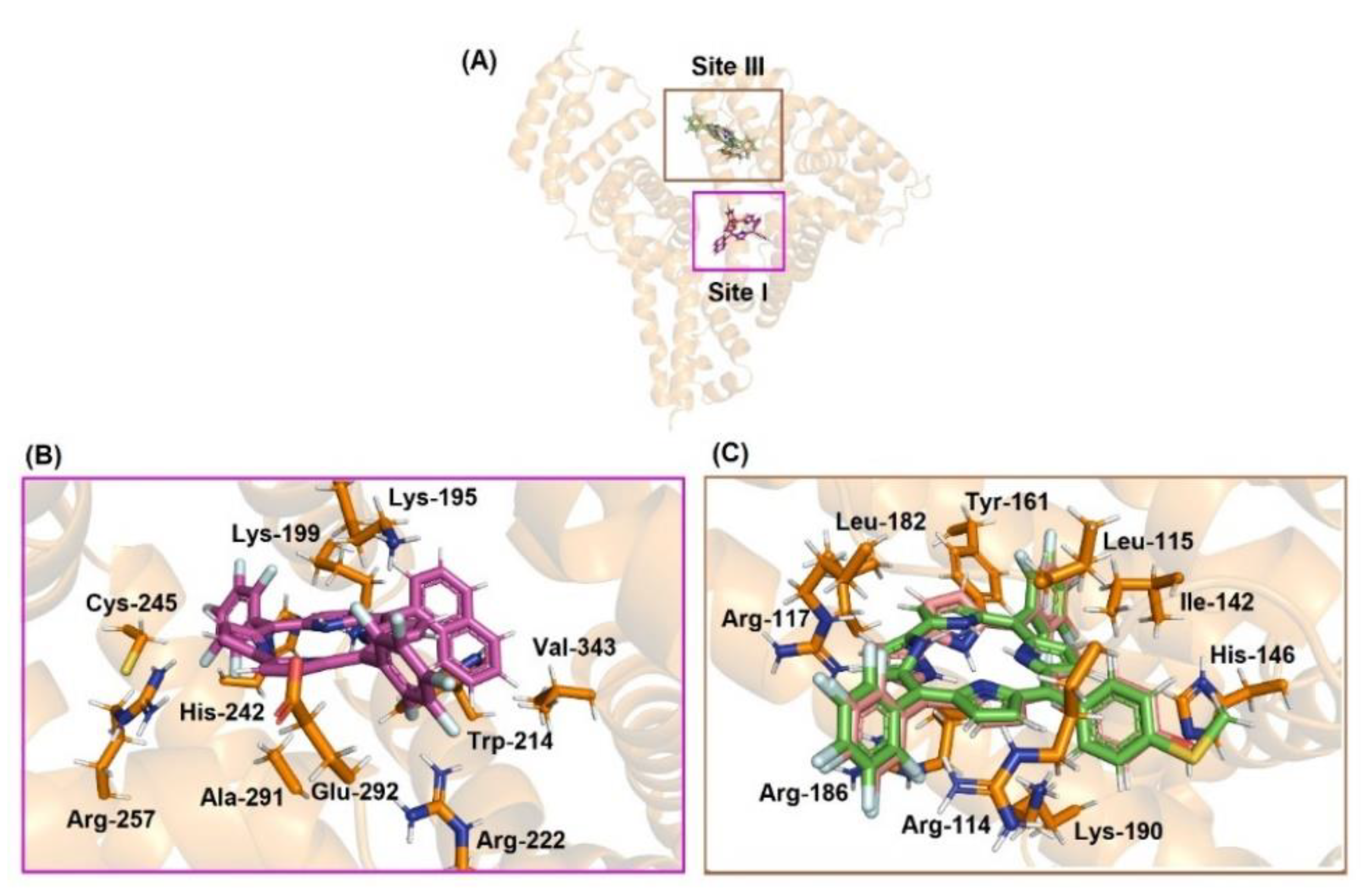 Molecules 28 01385 g009 Molecules 28 01385 g009