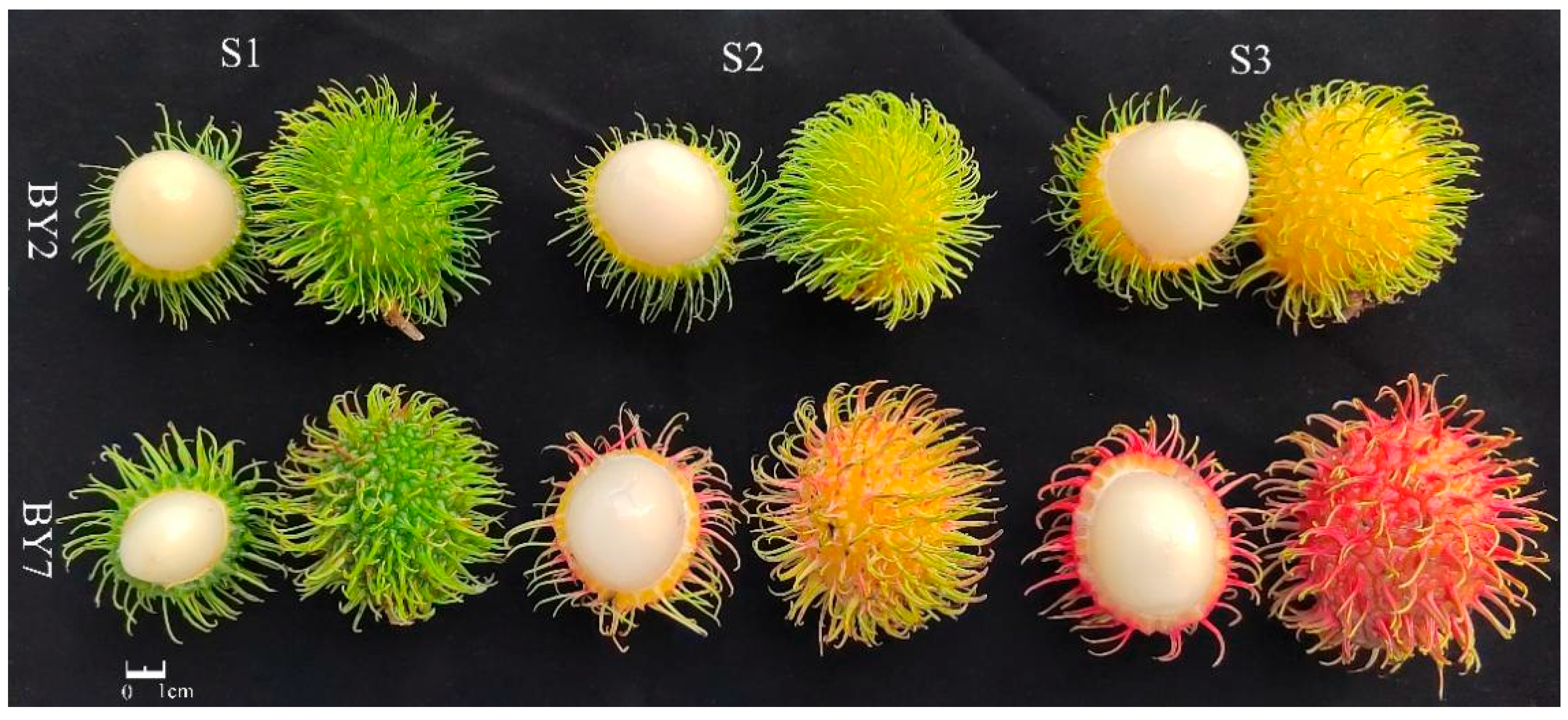 Molecules 28 01390 g006 Molecules 28 01390 g006