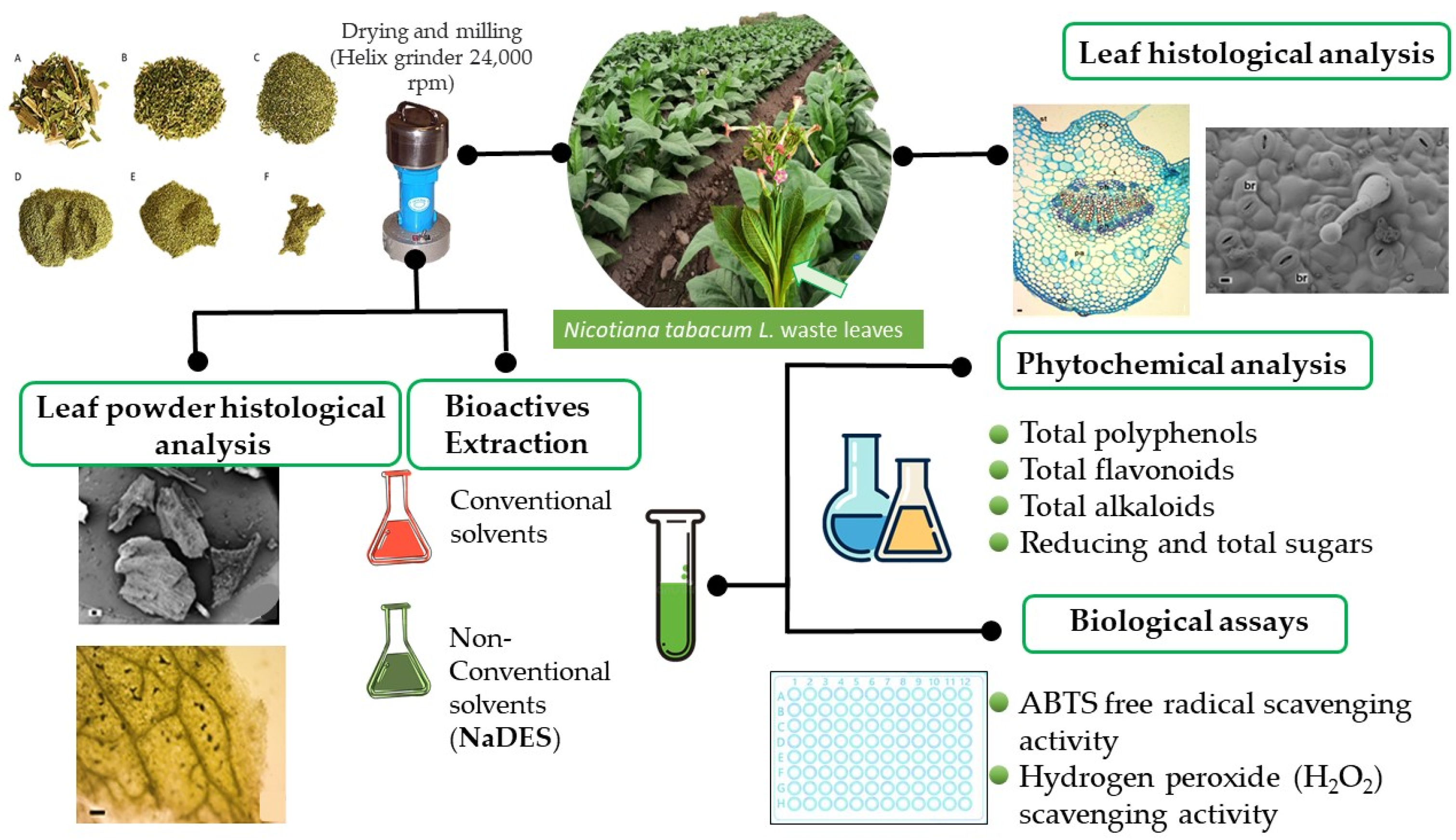 Molecules 28 01396 g002 Molecules 28 01396 g002
