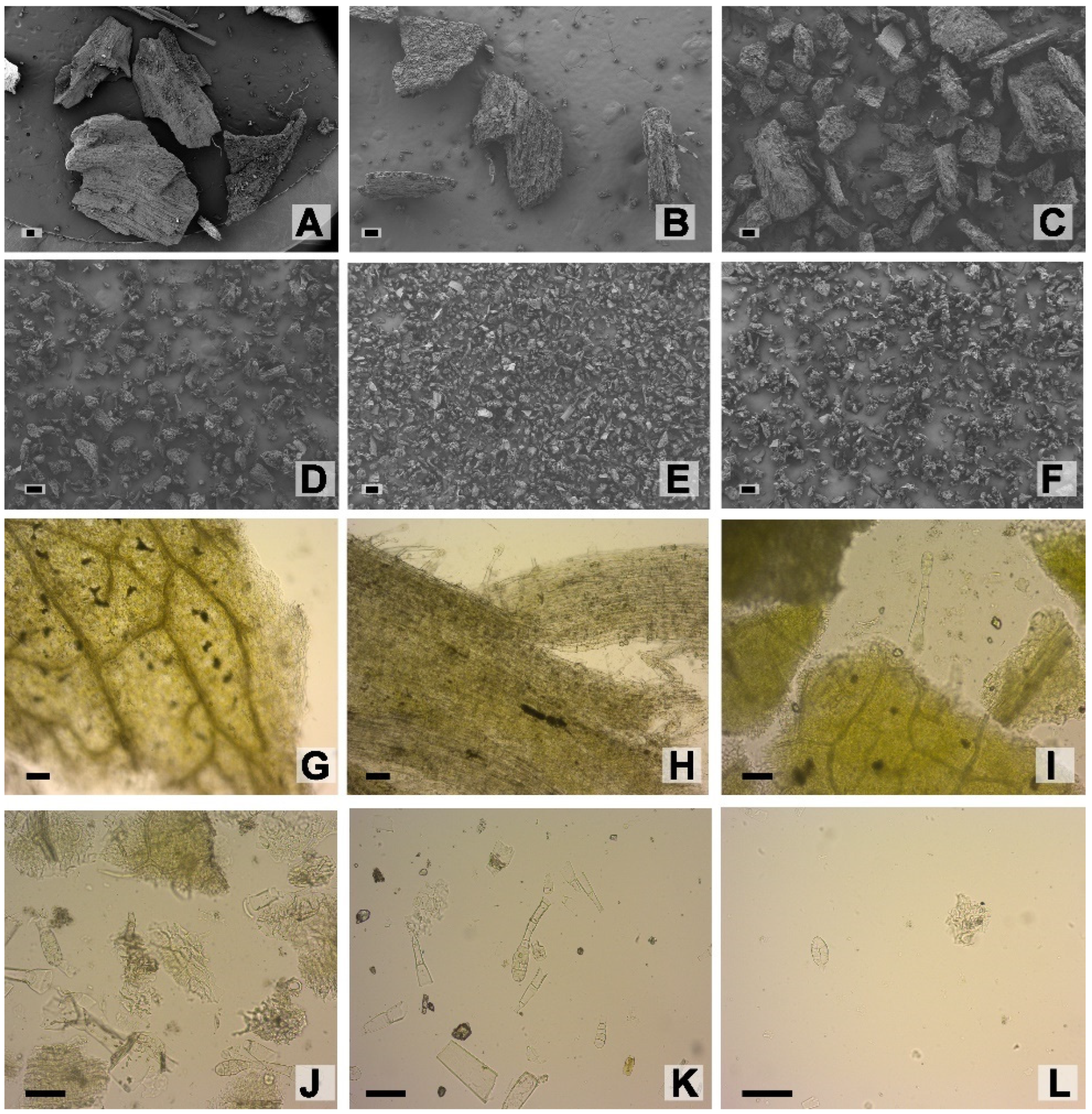 Molecules 28 01396 g005 Molecules 28 01396 g005