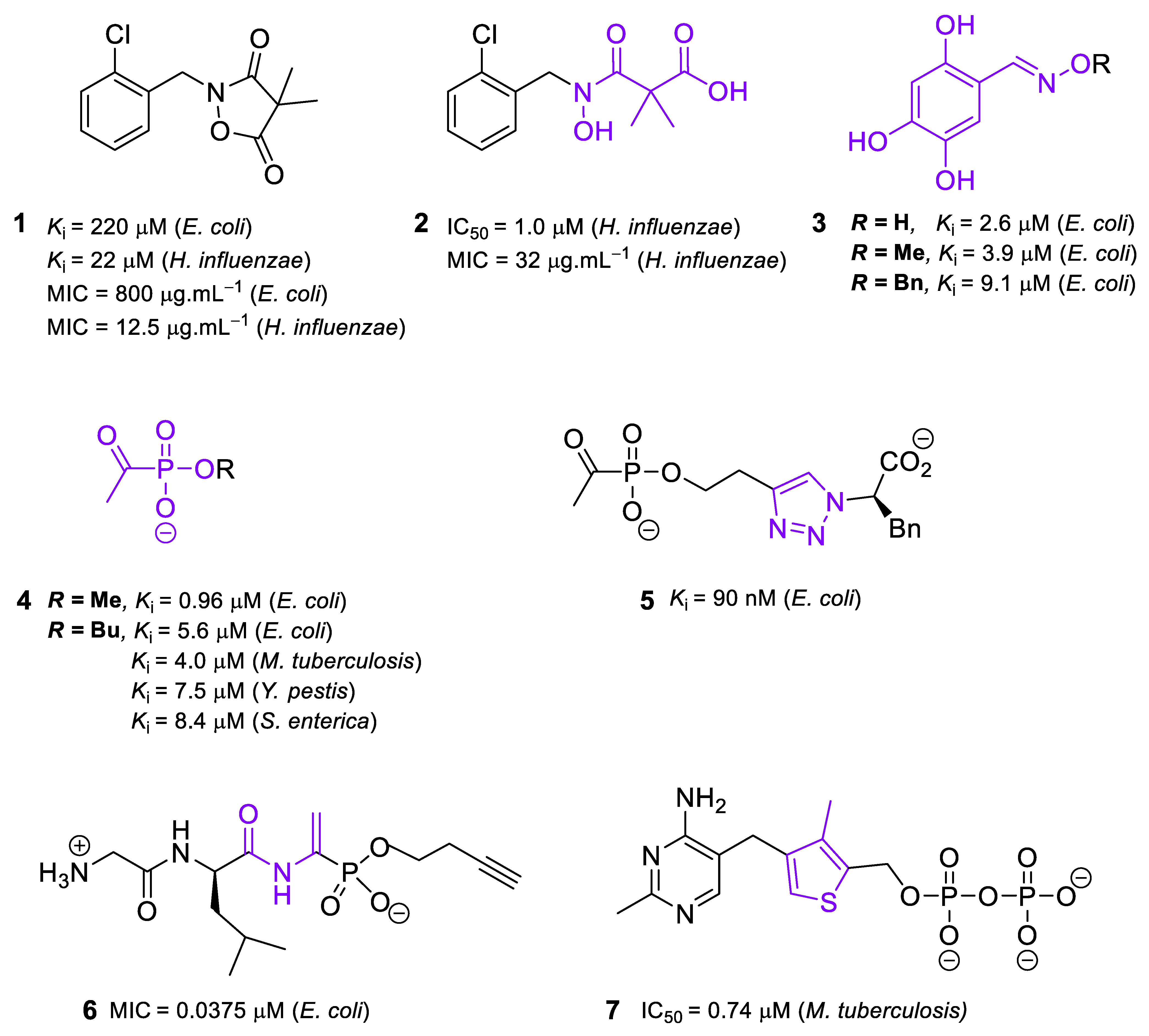 Molecules Free Full-Text The Multifaceted MEP Pathway: Towards New  Therapeutic Perspectives