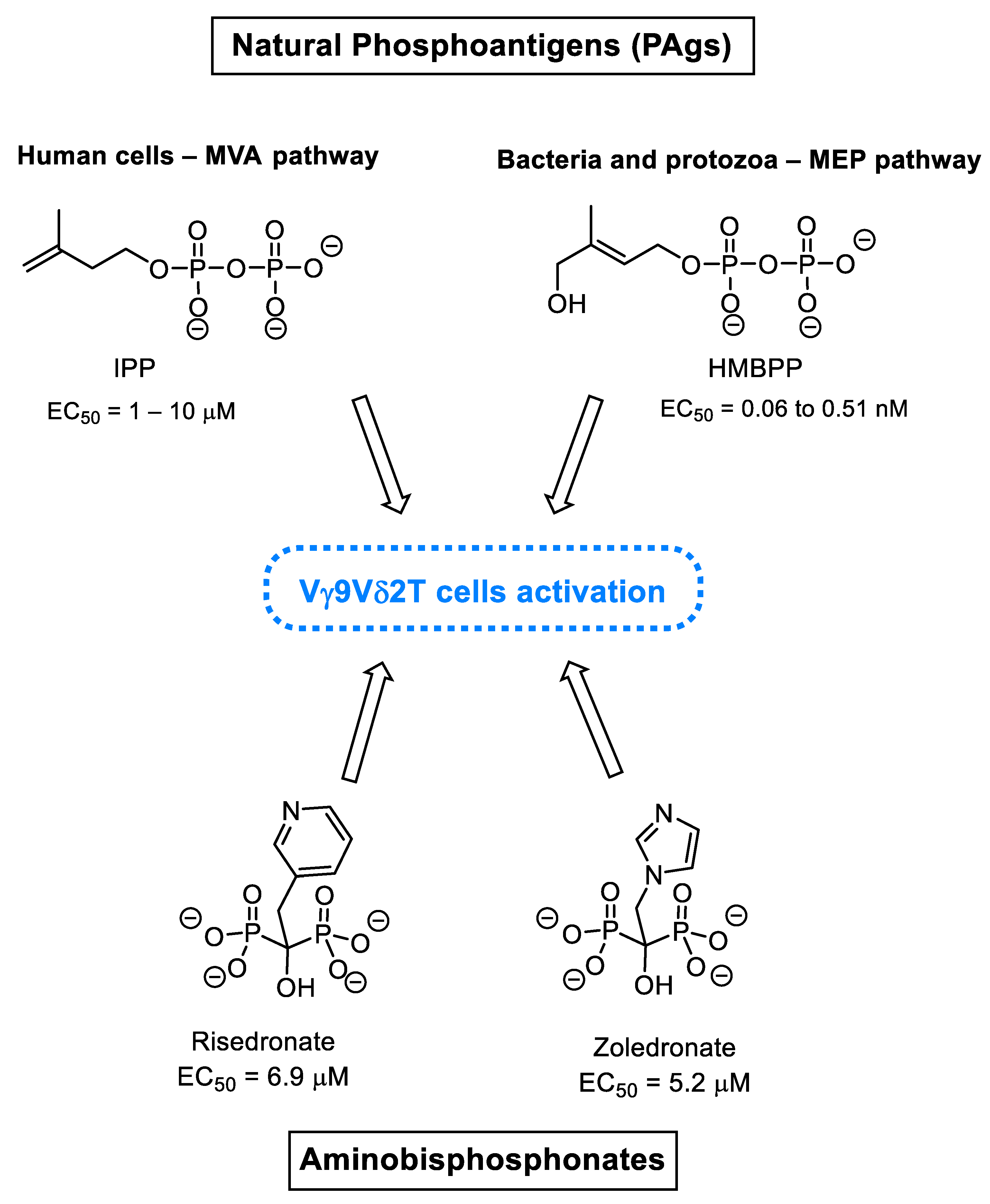 Molecules 28 01403 g008