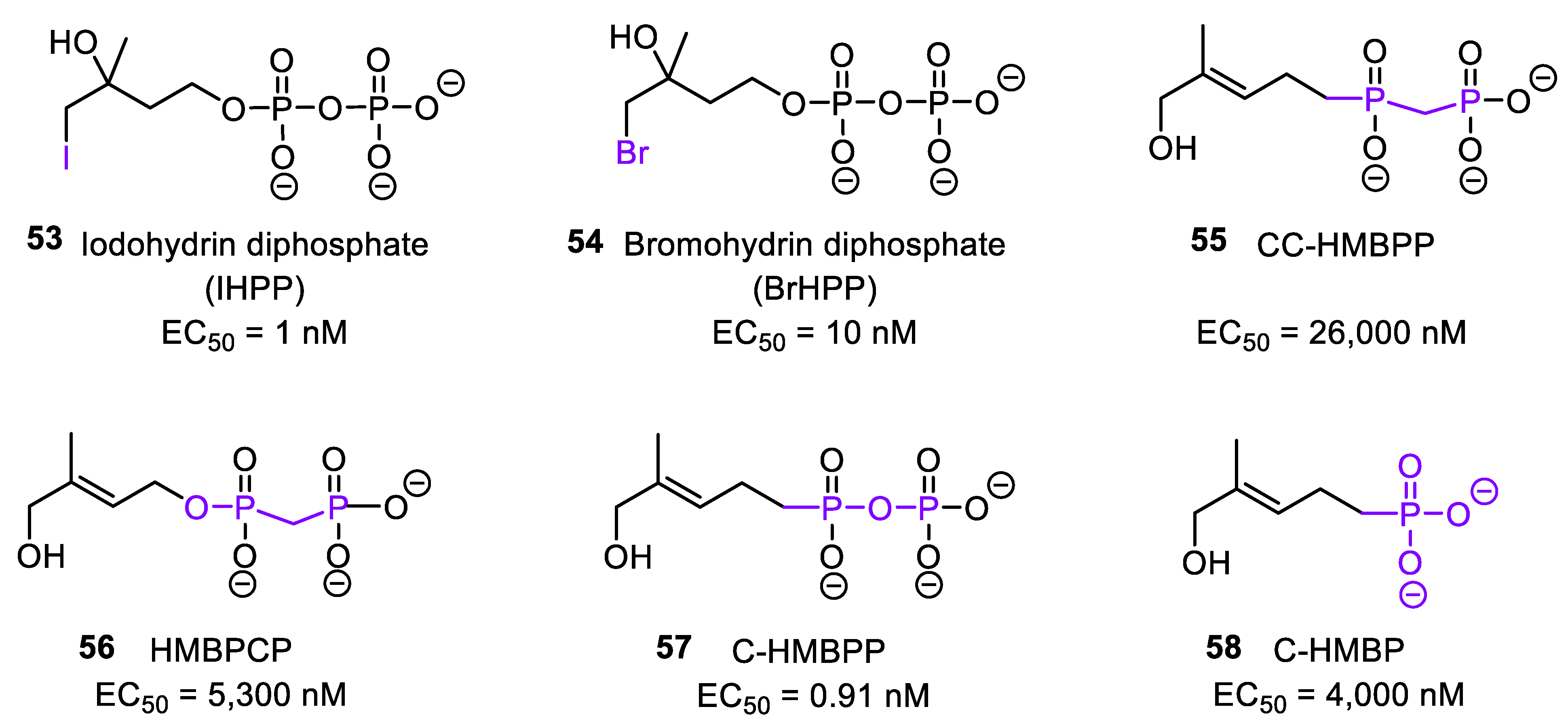 Molecules 28 01403 g009