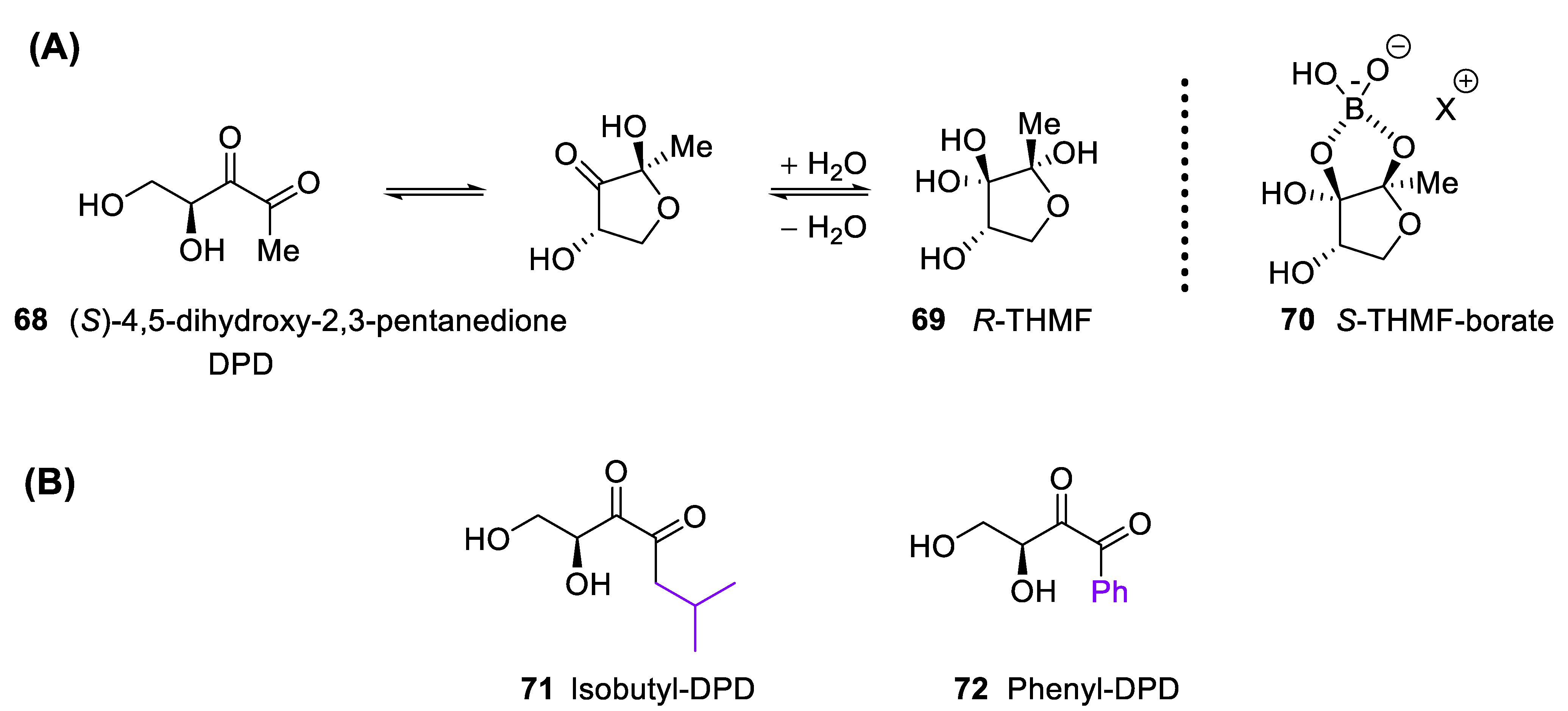 Molecules 28 01403 sch002