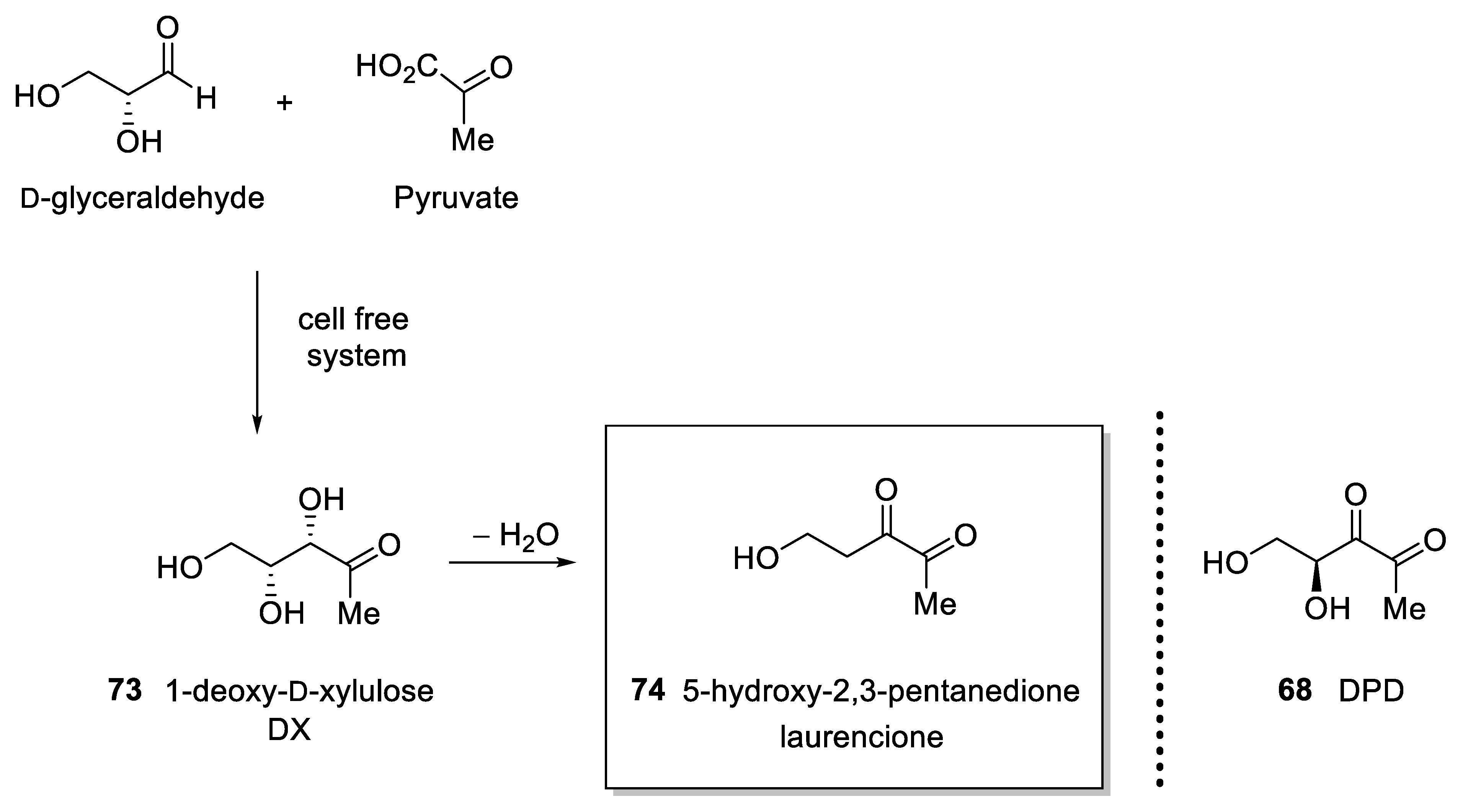 Molecules 28 01403 sch003