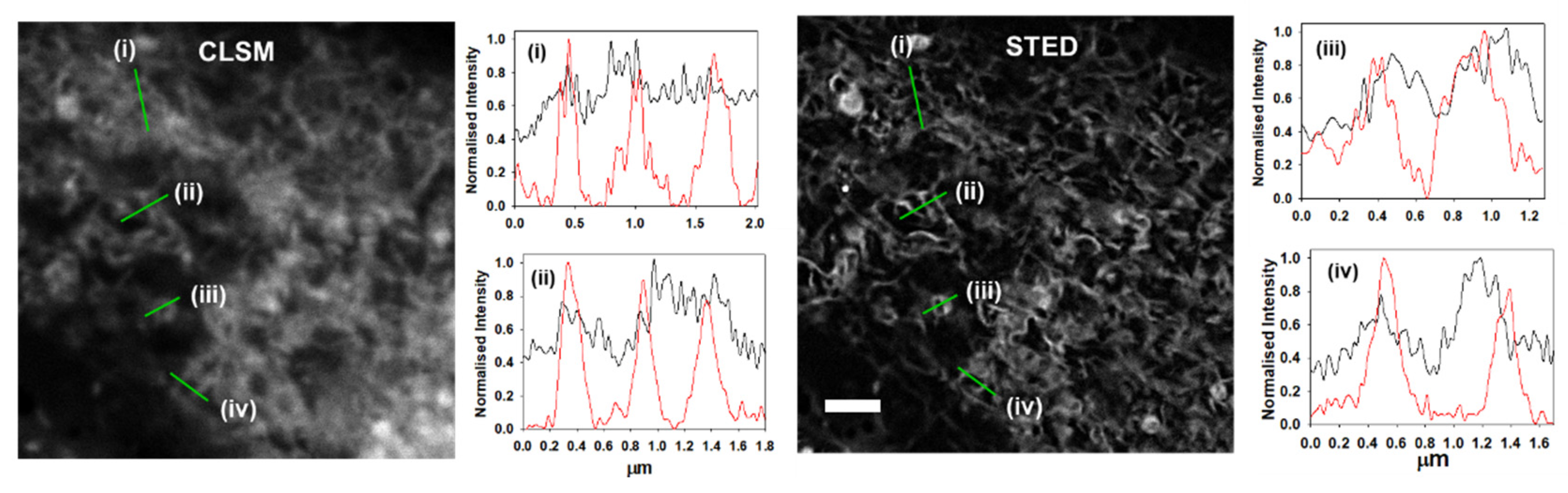 Molecules 28 01415 g007 Molecules 28 01415 g007