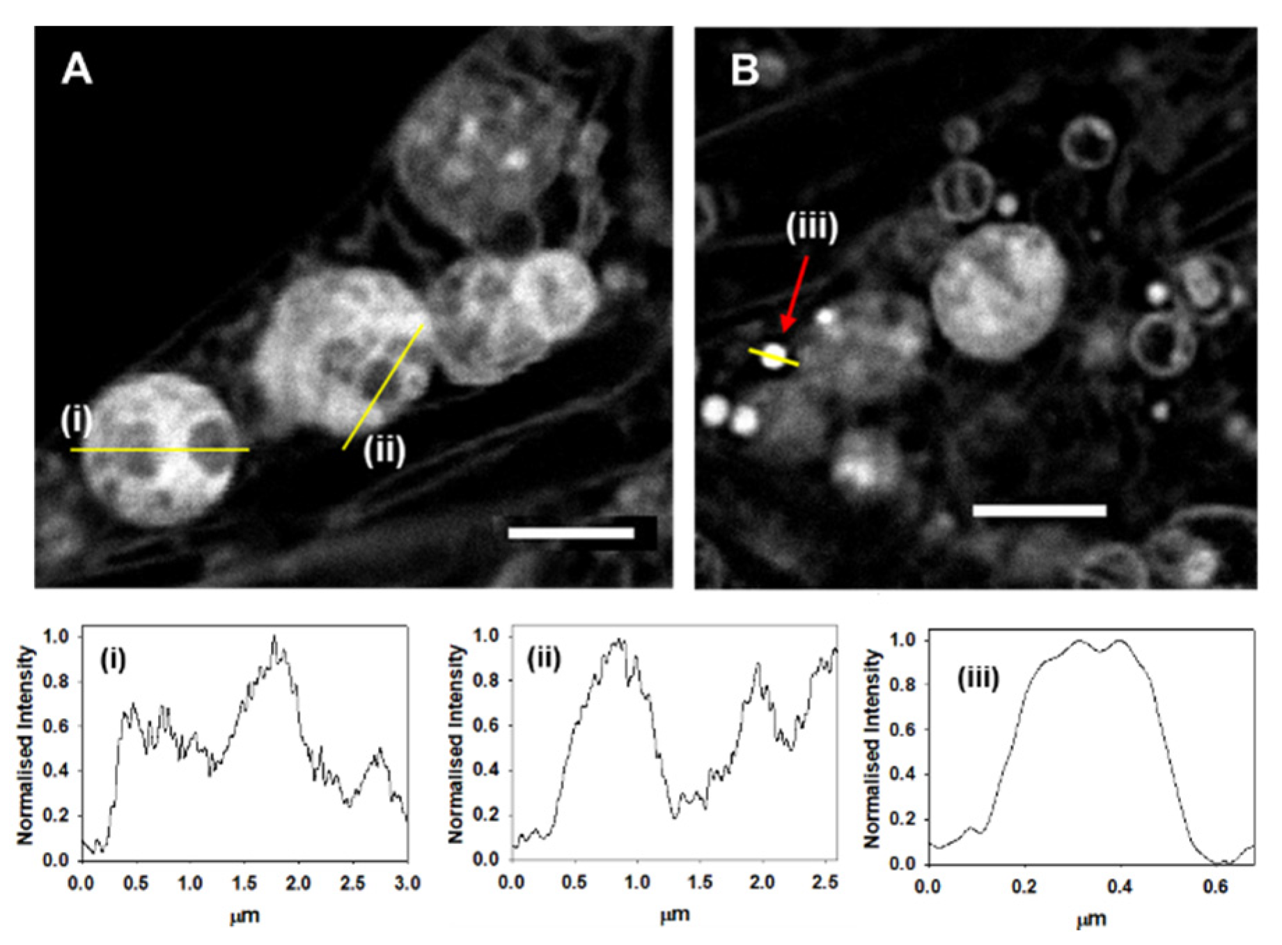 Molecules 28 01415 g008 Molecules 28 01415 g008