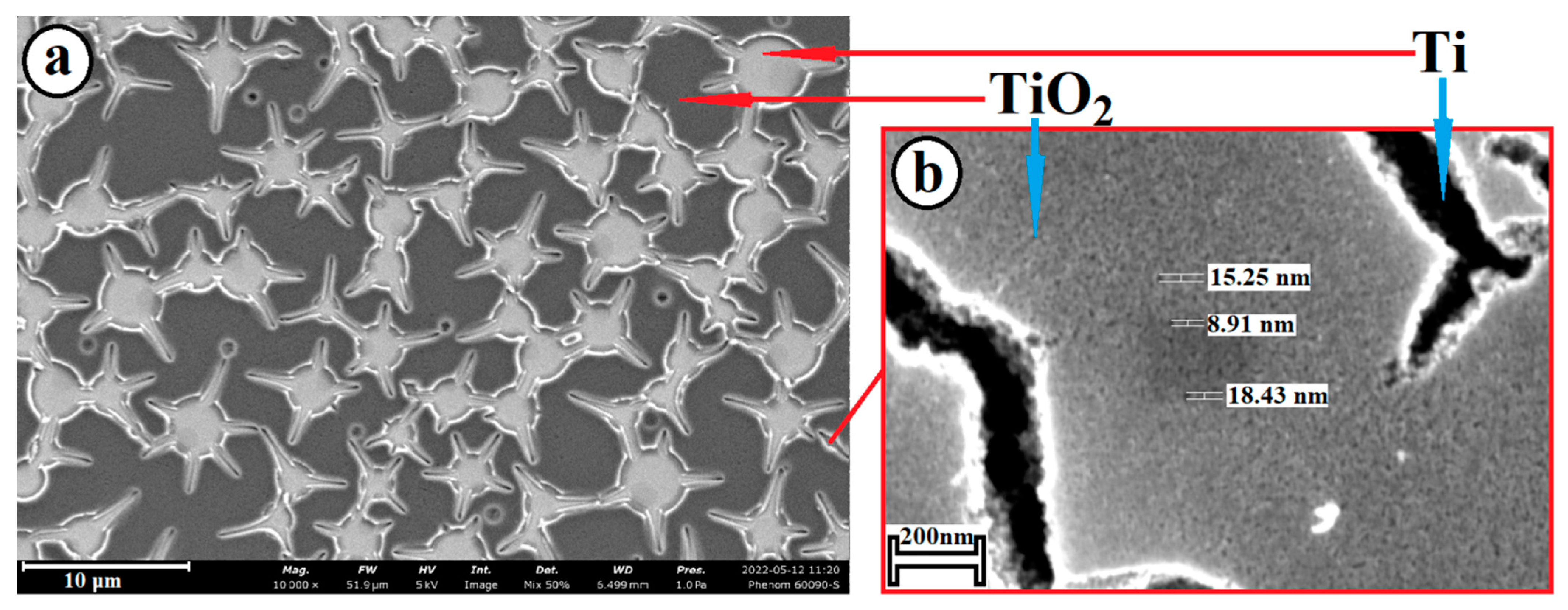 Molecules 28 01416 g001