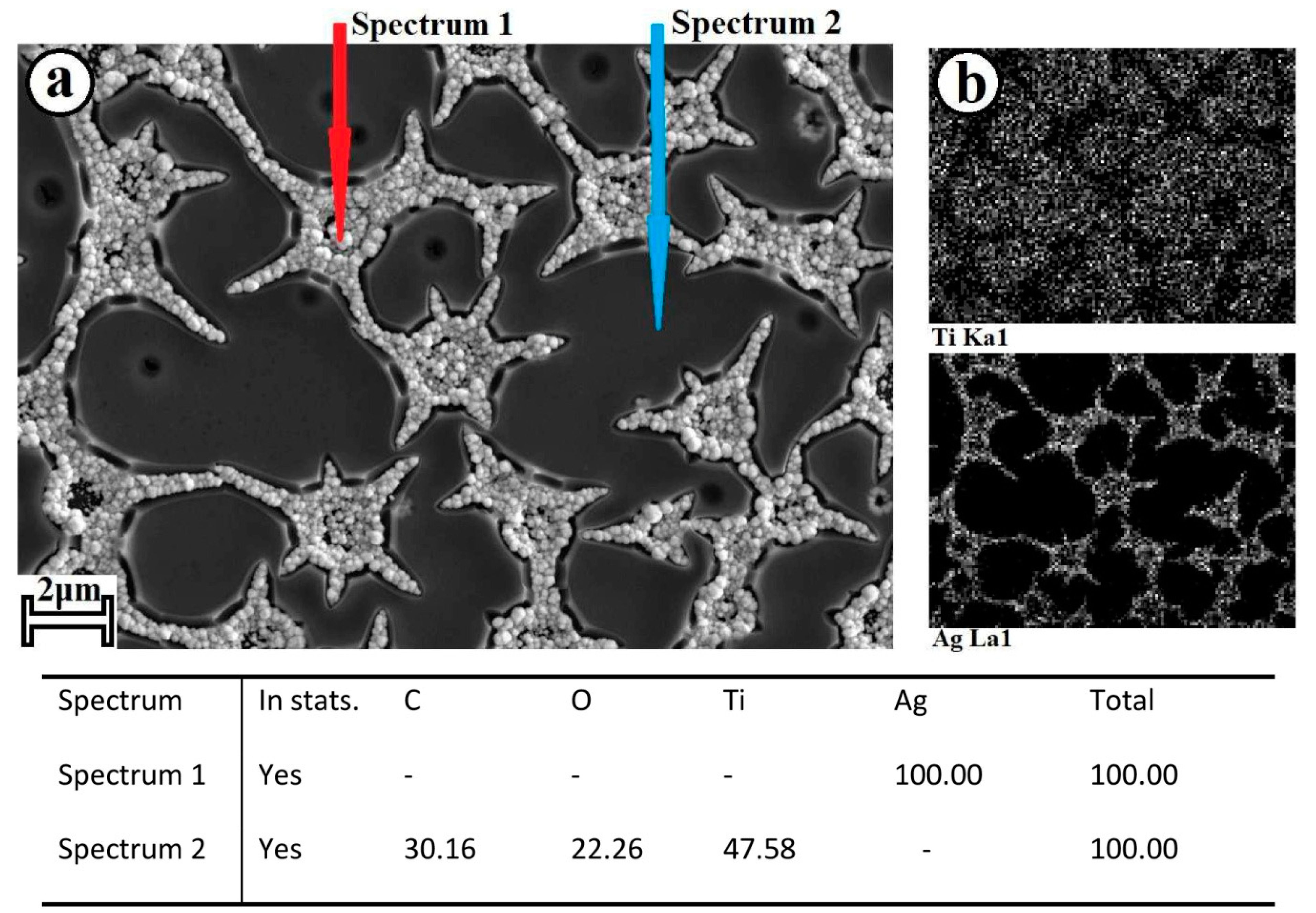 Molecules 28 01416 g003