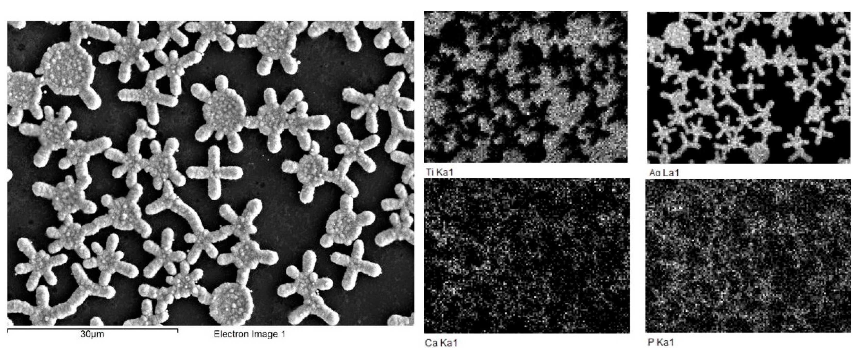 Molecules 28 01416 g005