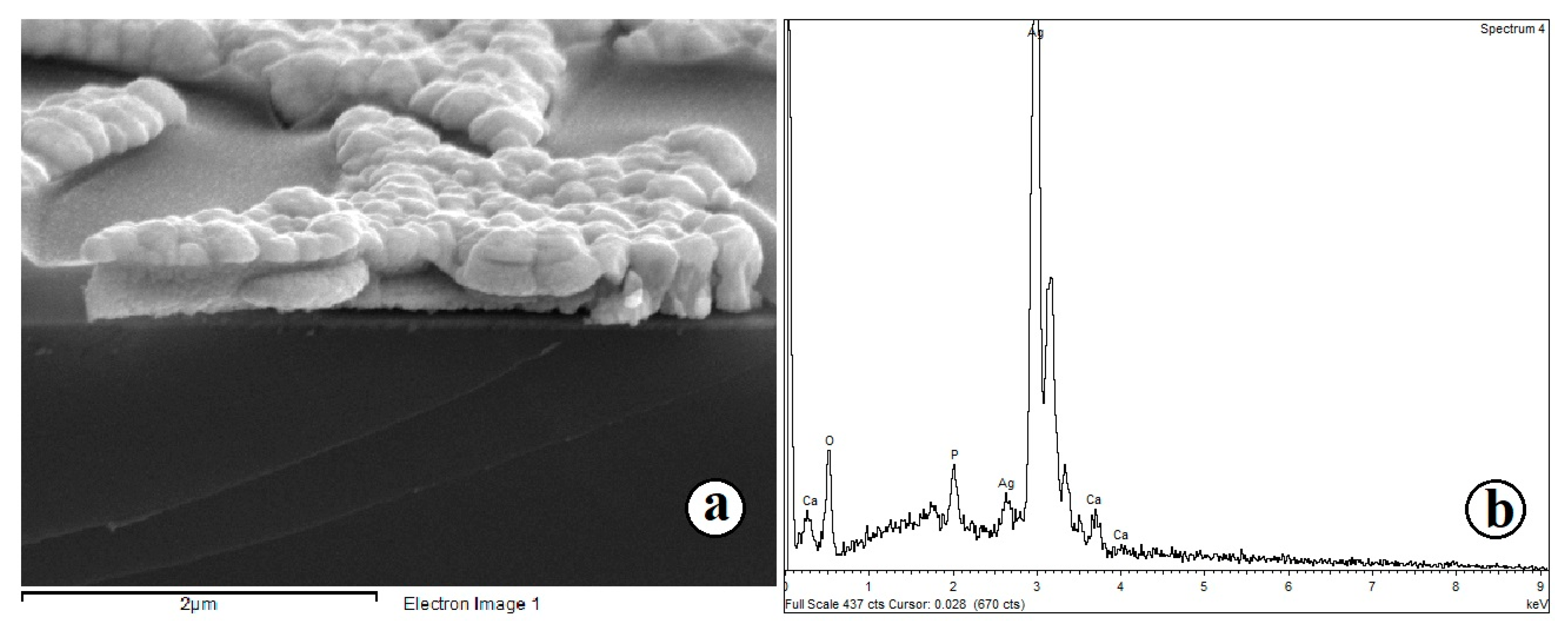 Molecules 28 01416 g006