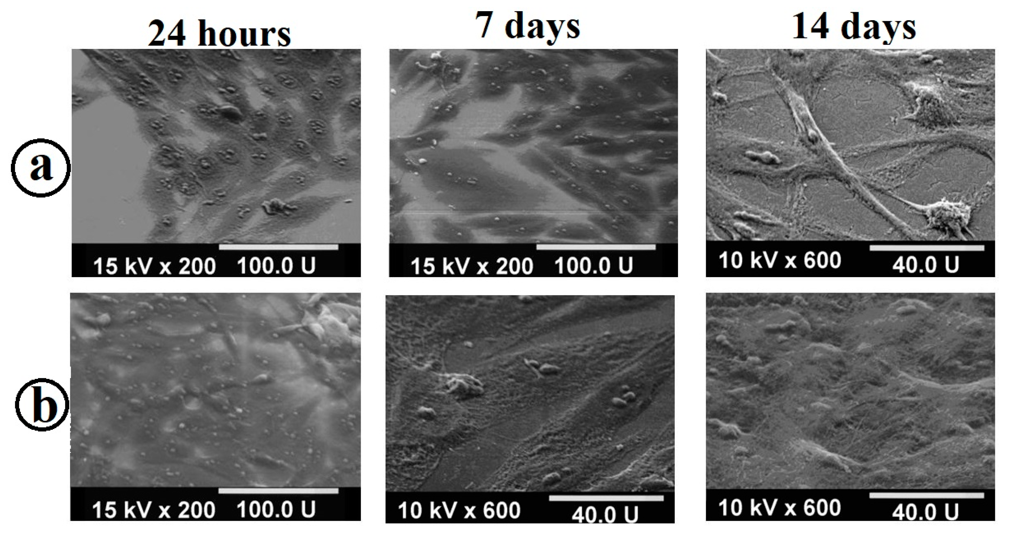 Molecules 28 01416 g009
