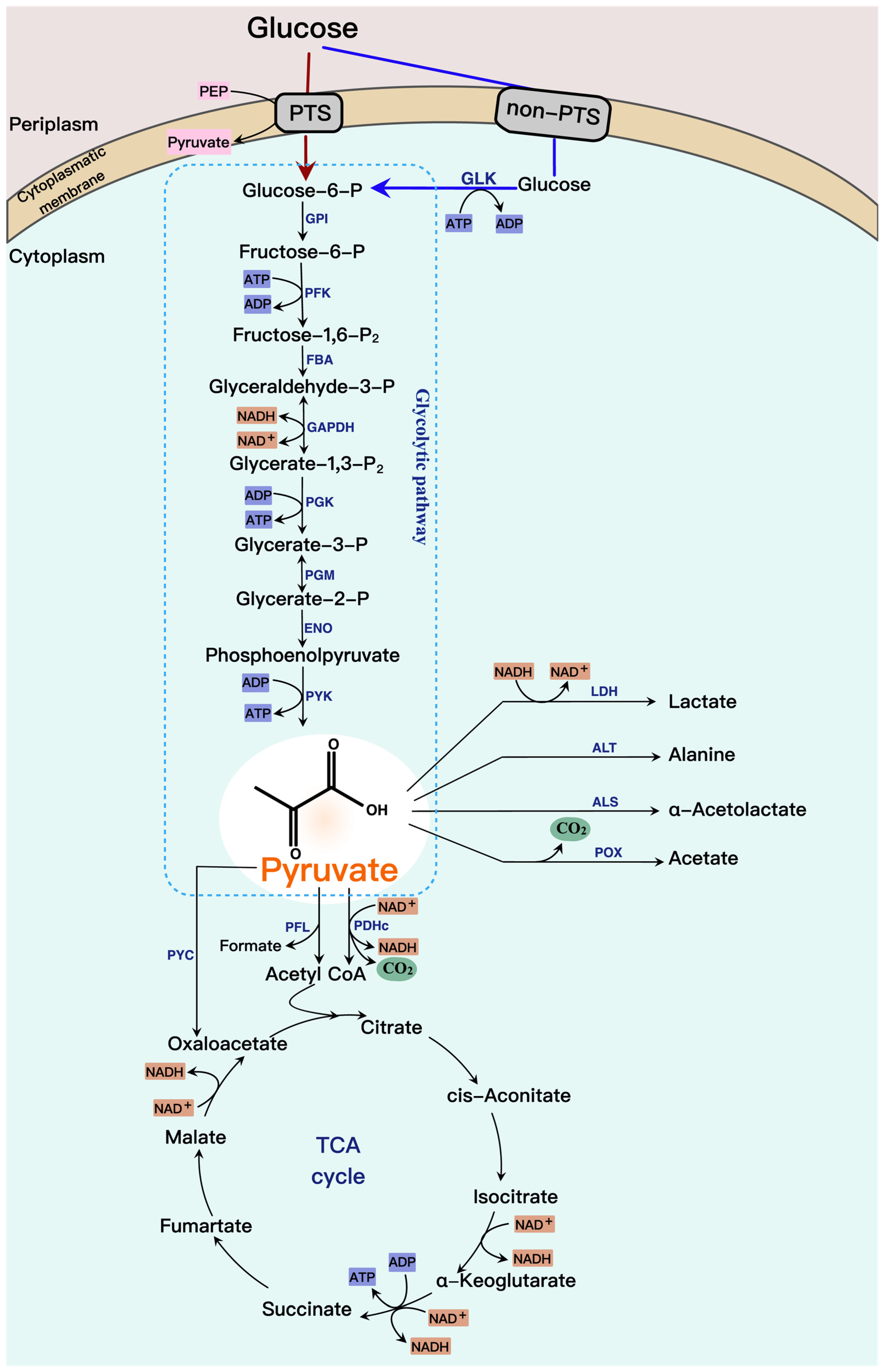 Molecules 28 01418 g001 Molecules 28 01418 g001