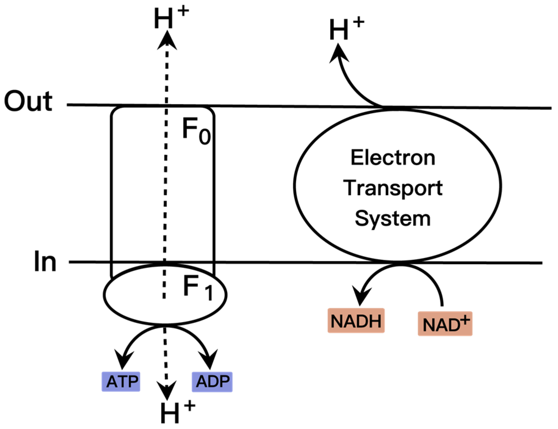 Molecules 28 01418 g002 Molecules 28 01418 g002