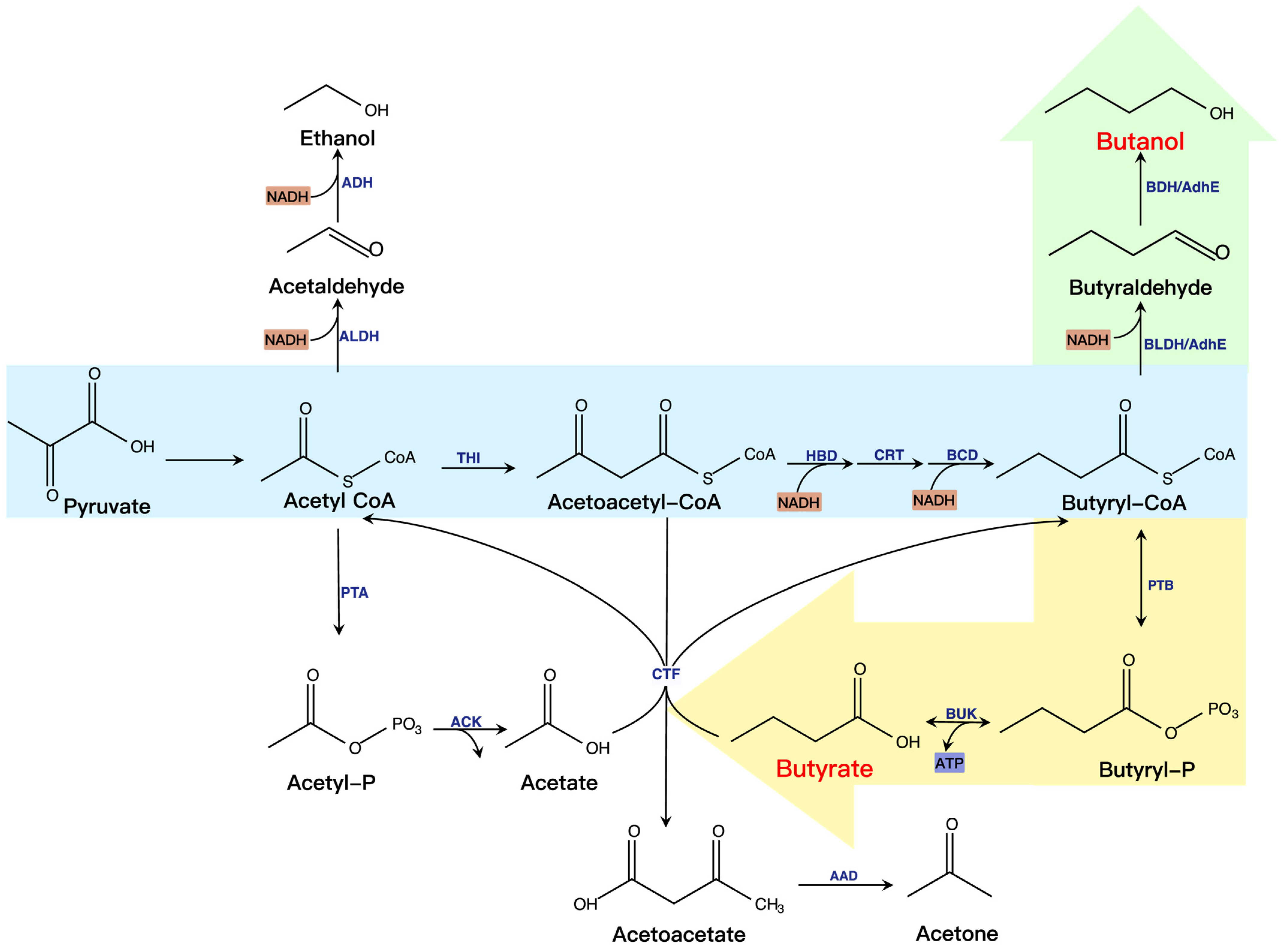Molecules 28 01418 g004 Molecules 28 01418 g004