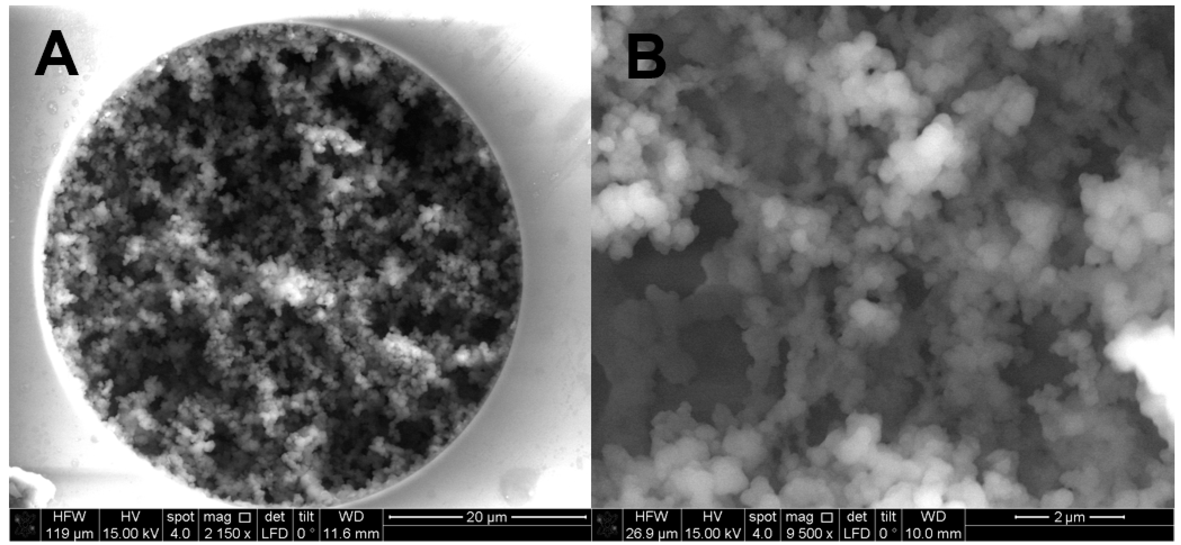Molecules 28 01423 g001