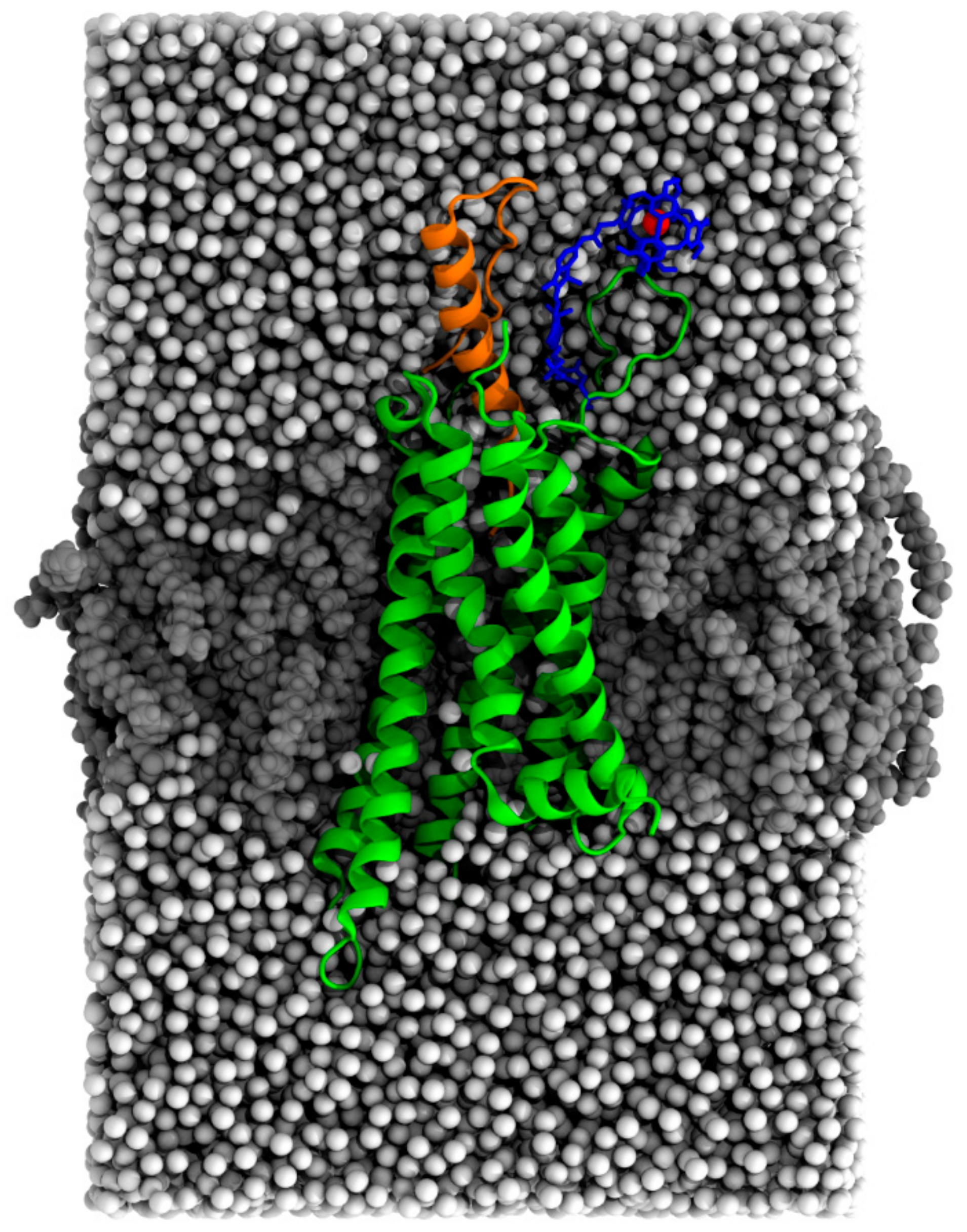 Molecules 28 01424 g004 Molecules 28 01424 g004