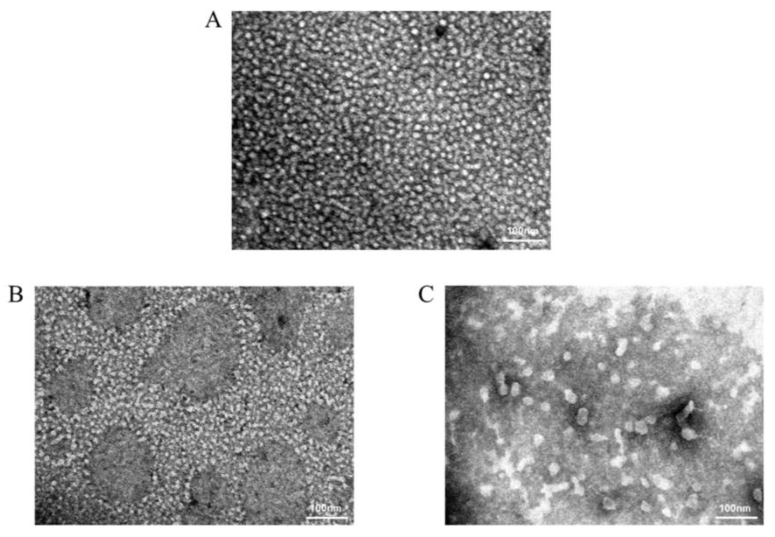 Molecules 28 01426 g002 Molecules 28 01426 g002