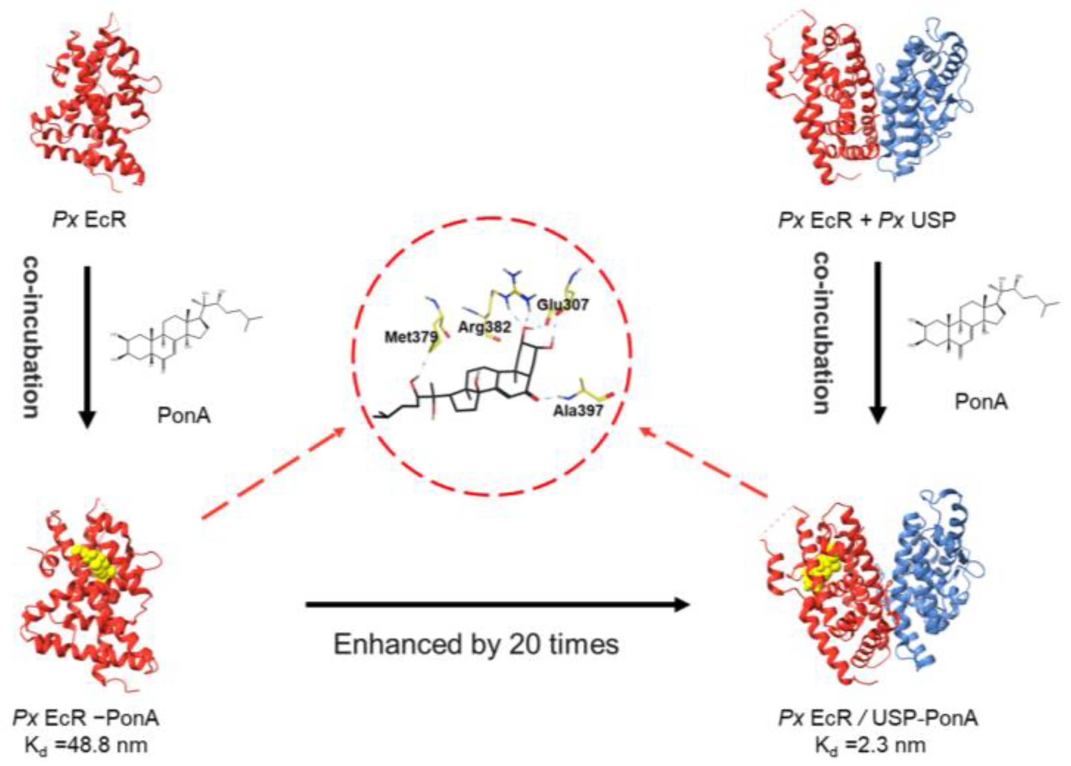 Molecules 28 01426 sch001 Molecules 28 01426 sch001