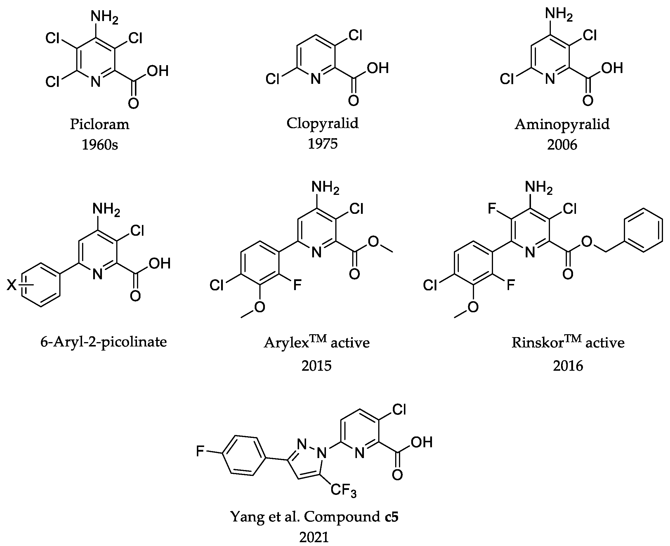 Molecules 28 01431 g001