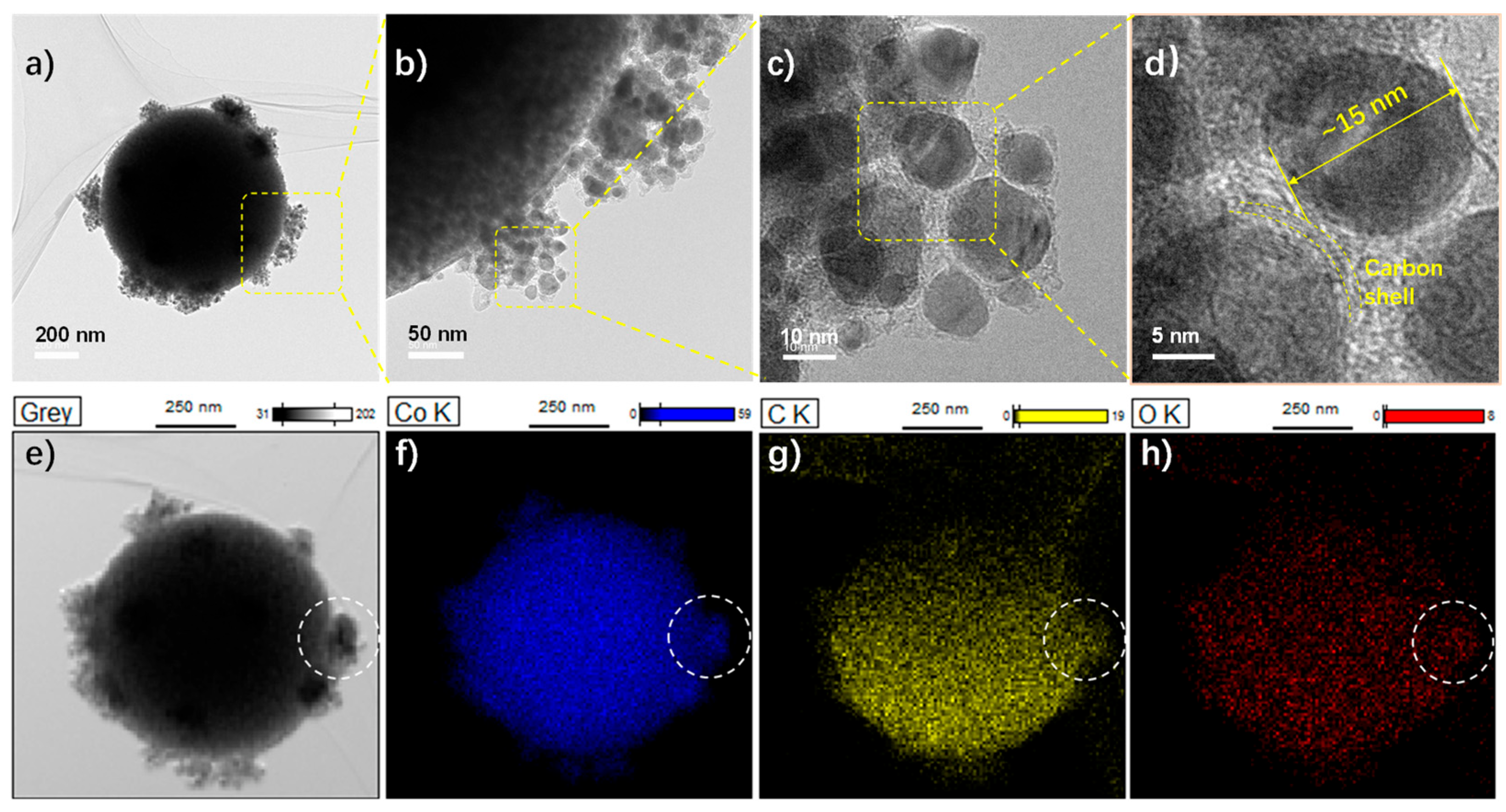 Molecules 28 01440 g003 550