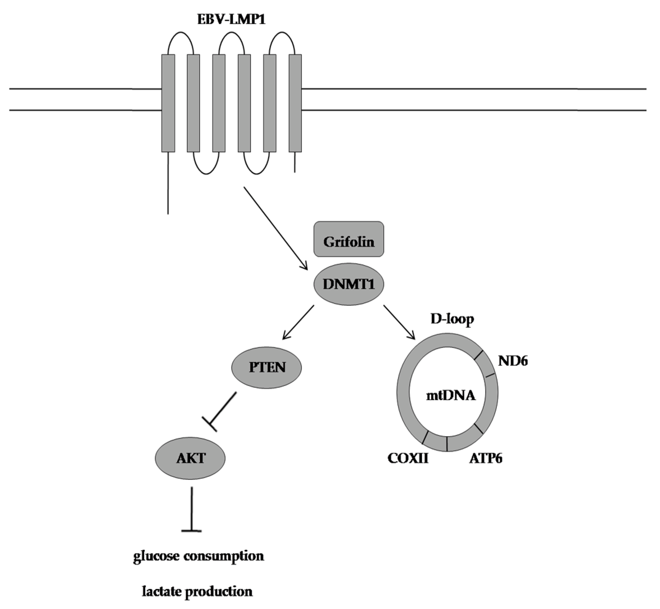 Molecules 28 01441 g006
