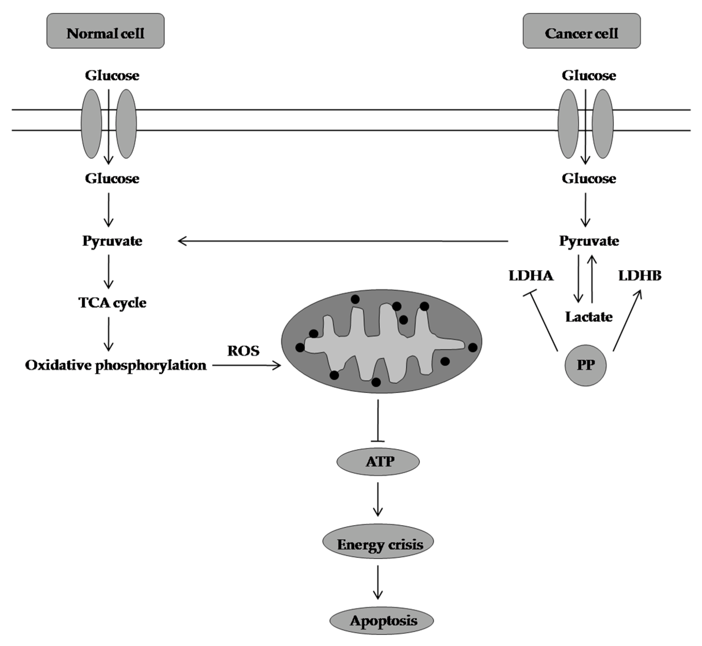 Molecules 28 01441 g008