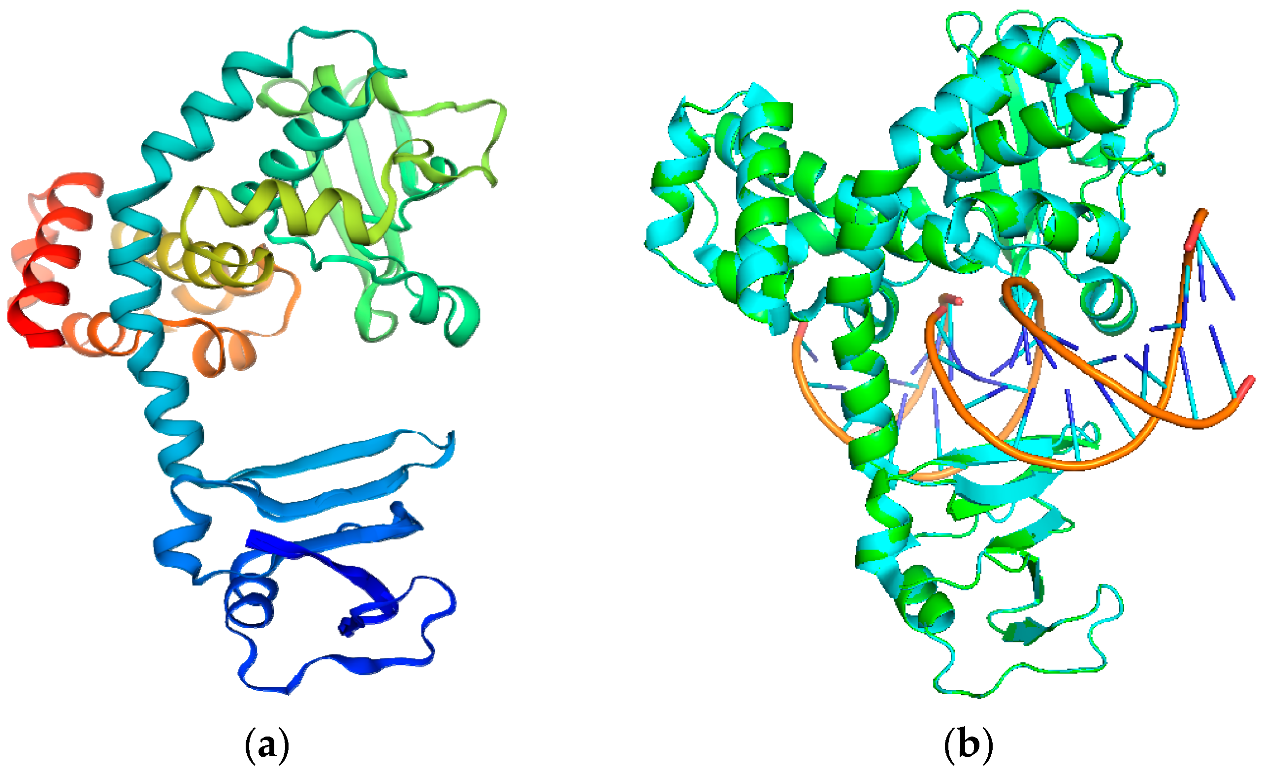 Molecules 28 01444 g001 Molecules 28 01444 g001