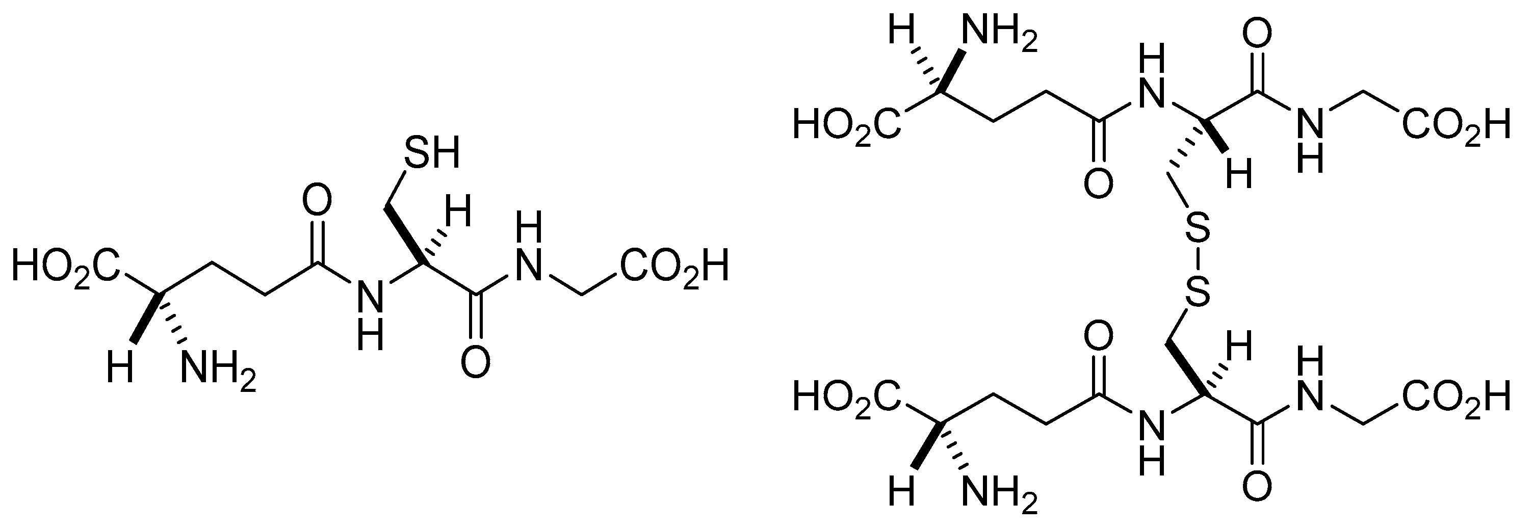 Molecules | Free Full-Text | Glutathione-Related Enzymes and