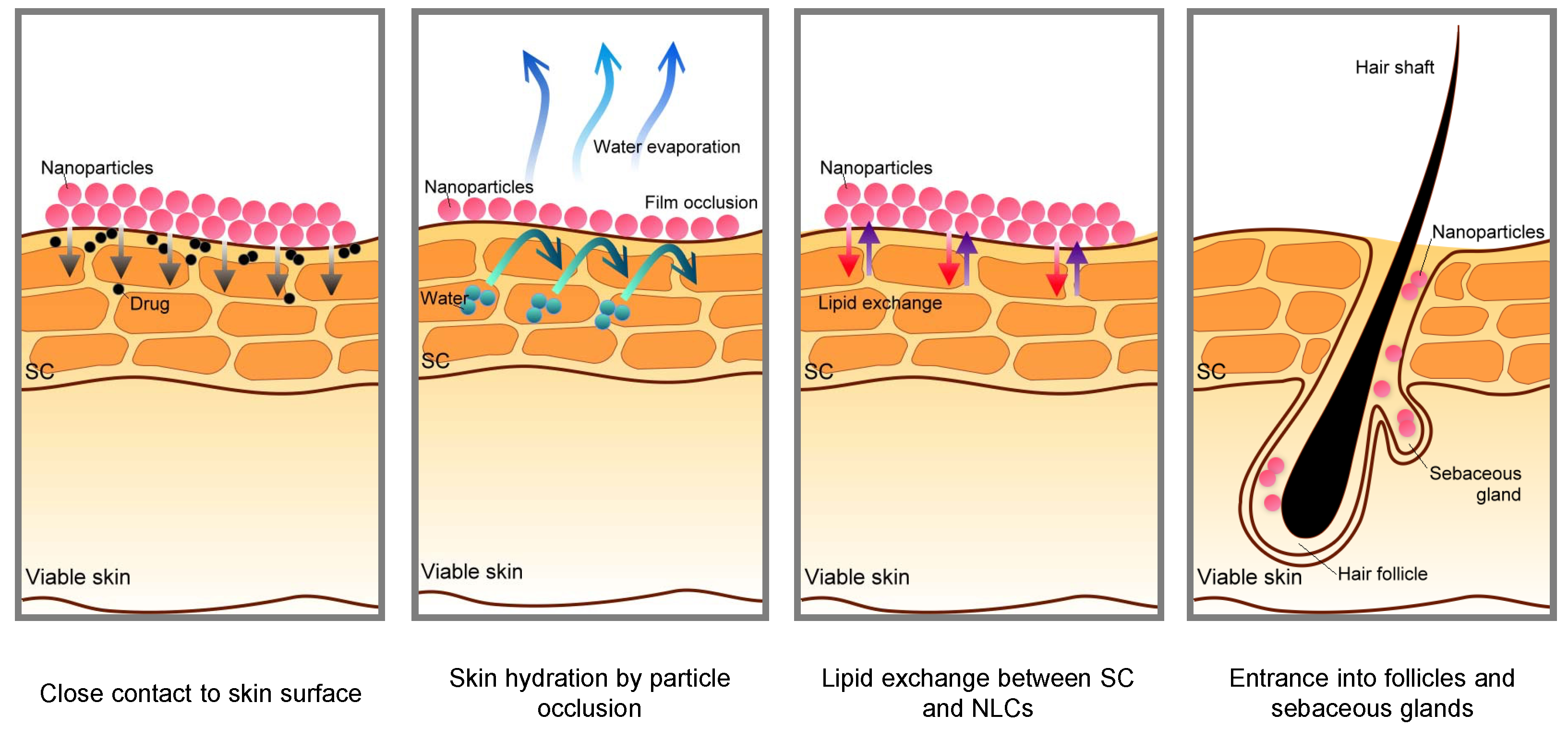 Molecules 28 01449 g002