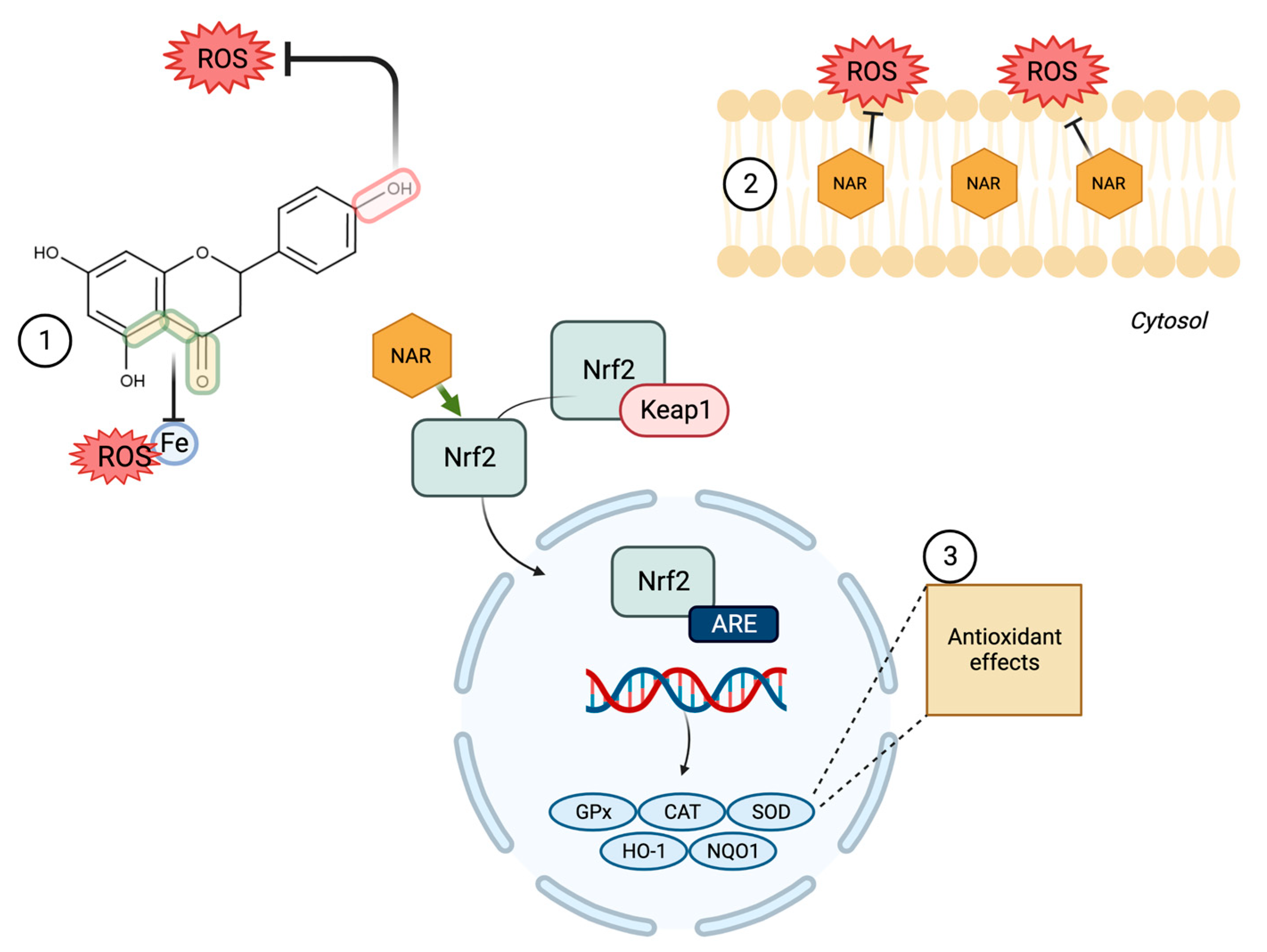 Molecules 28 01450 g002 Molecules 28 01450 g002