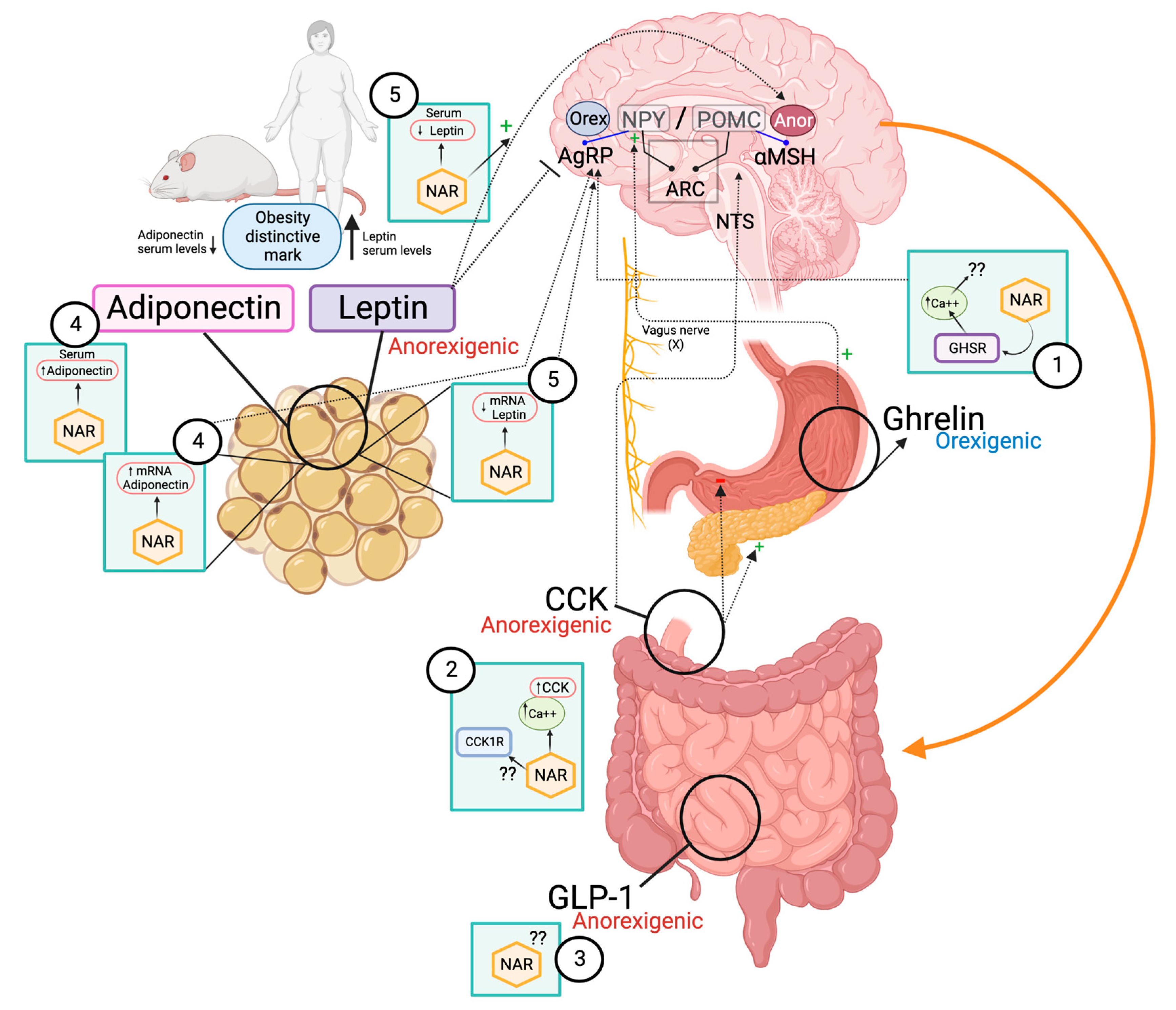 Molecules 28 01450 g003 Molecules 28 01450 g003