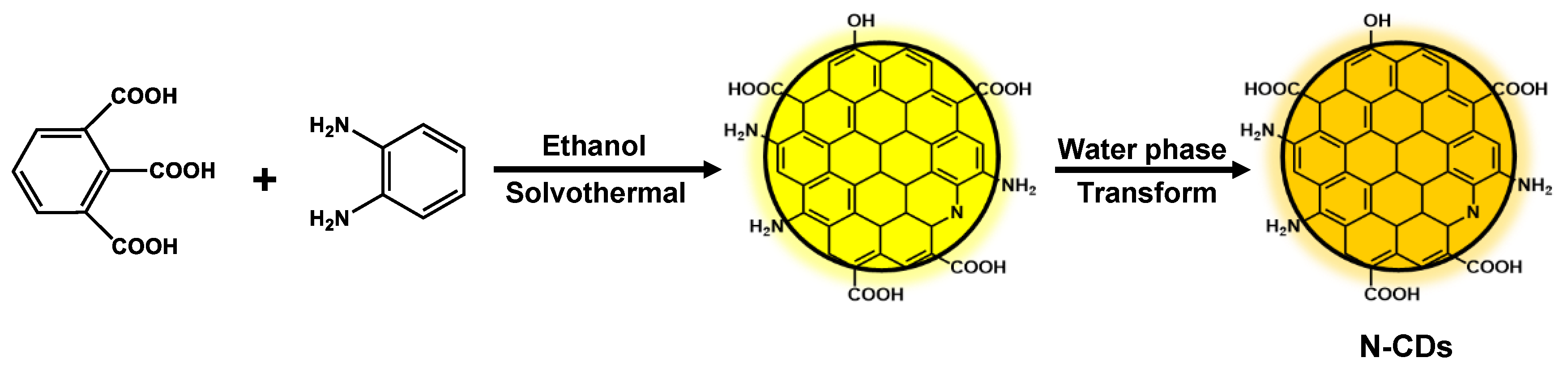 Molecules 28 01451 g001 Molecules 28 01451 g001