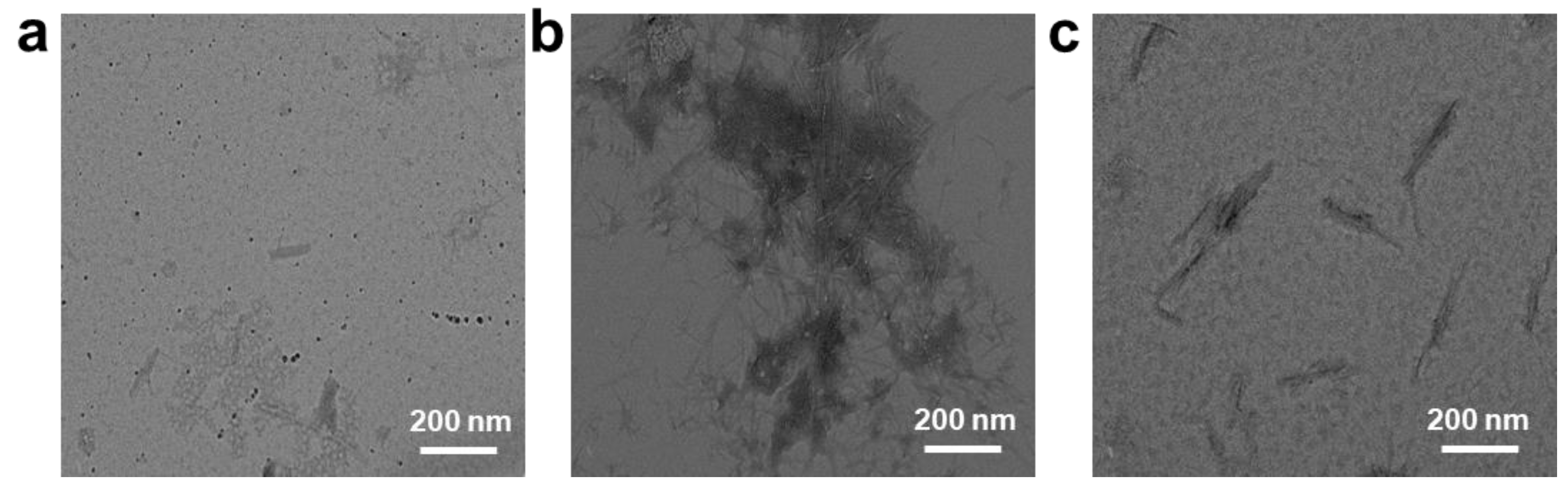 Molecules 28 01451 g005 Molecules 28 01451 g005