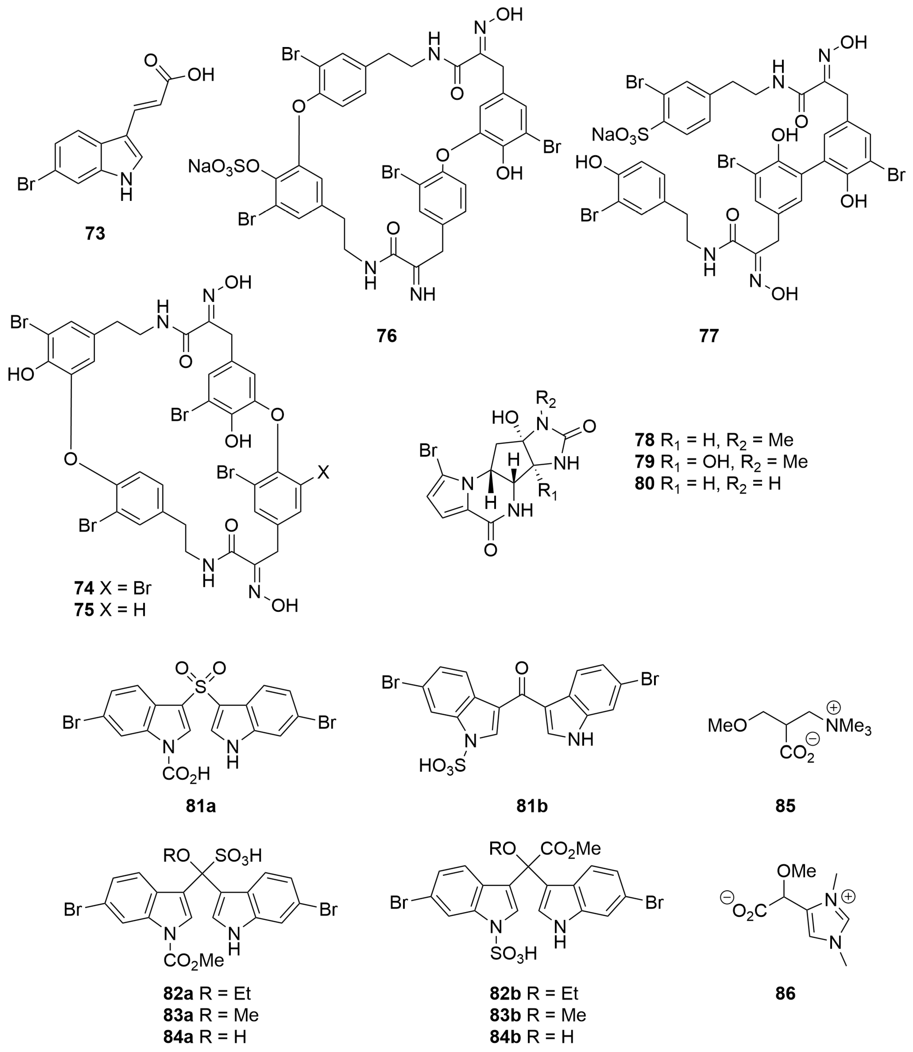 Molecules 28 01452 g005