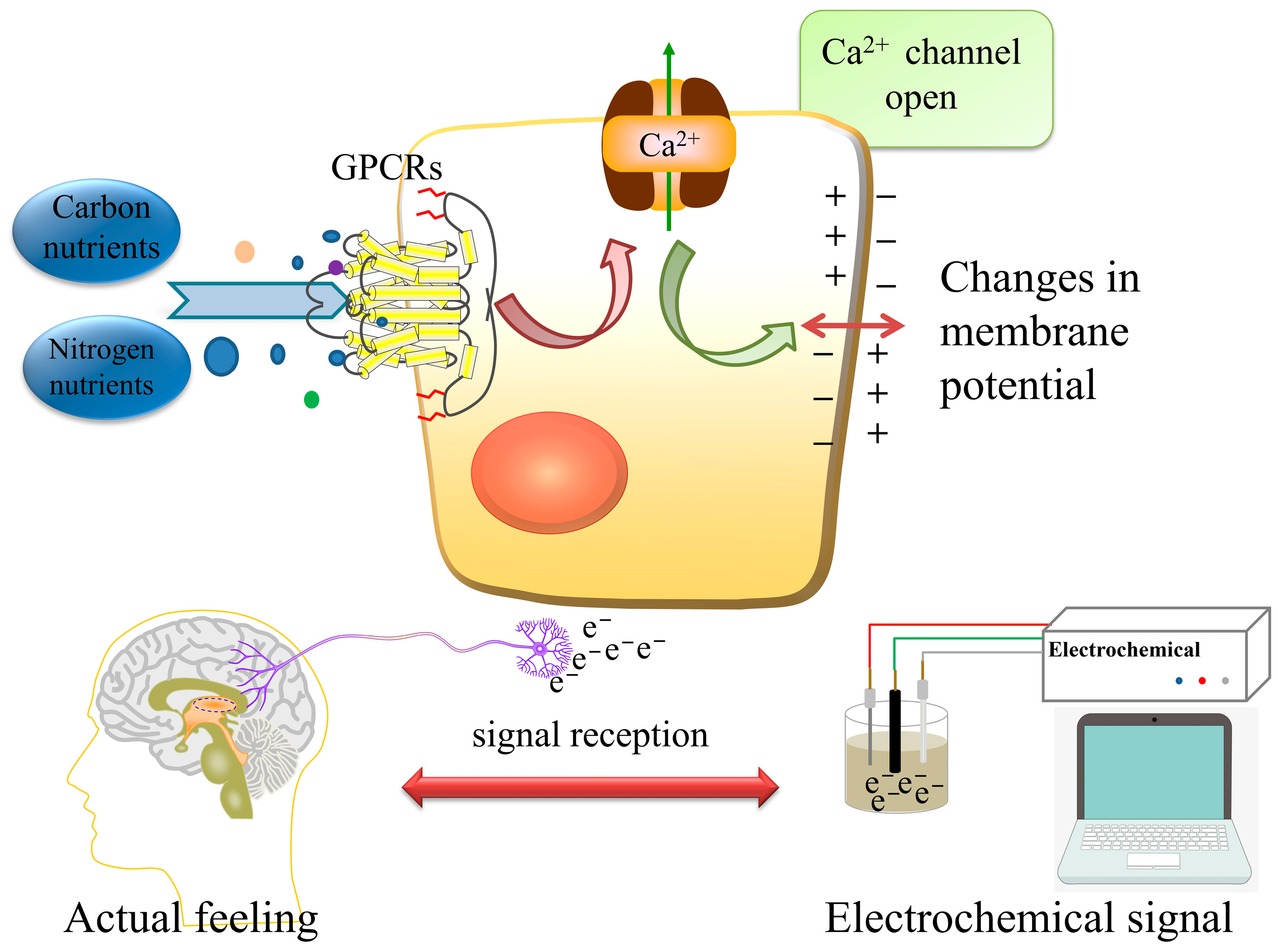 Molecules 28 01453 g001 Molecules 28 01453 g001