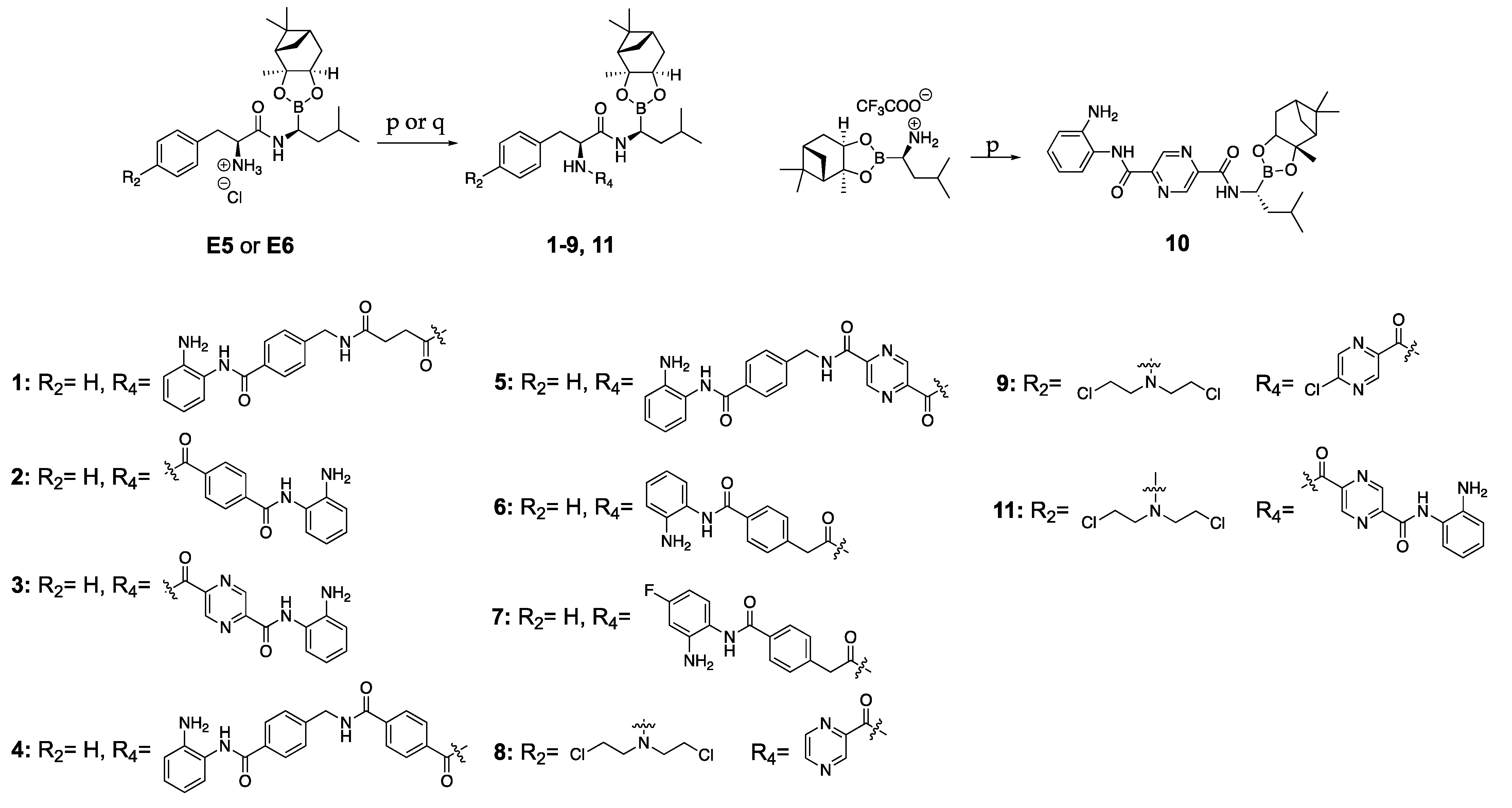 Molecules 28 01456 sch002