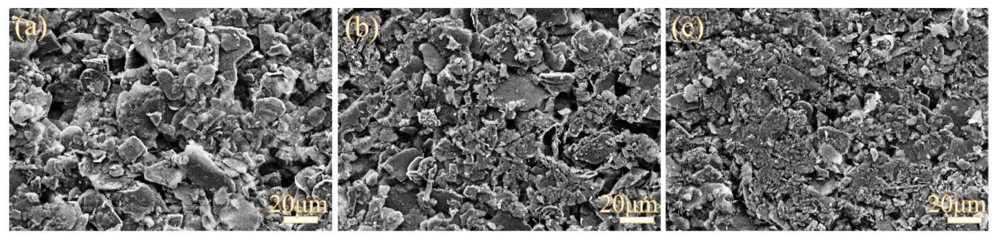 Molecules 28 01462 g004