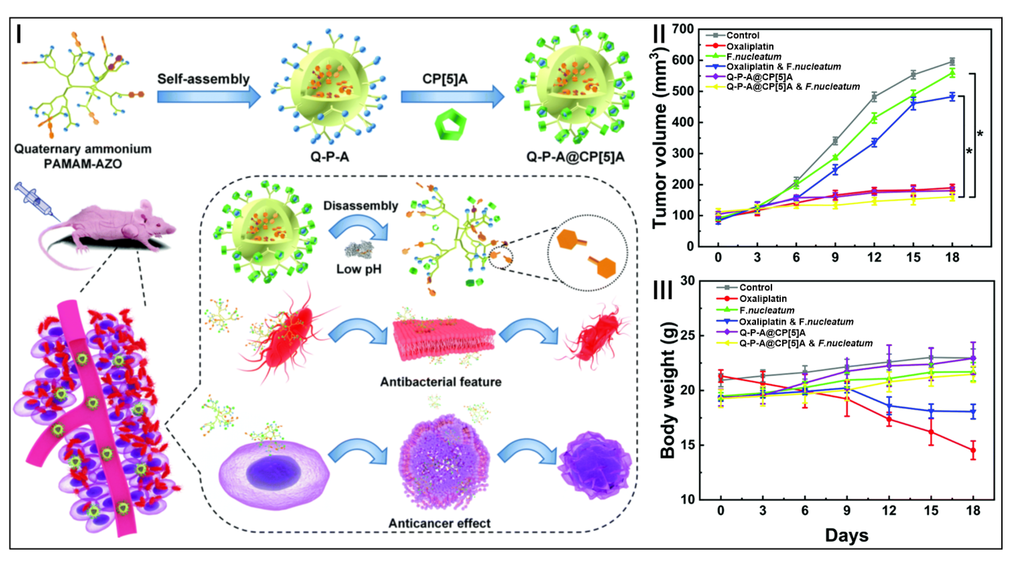 Molecules 28 01470 g005