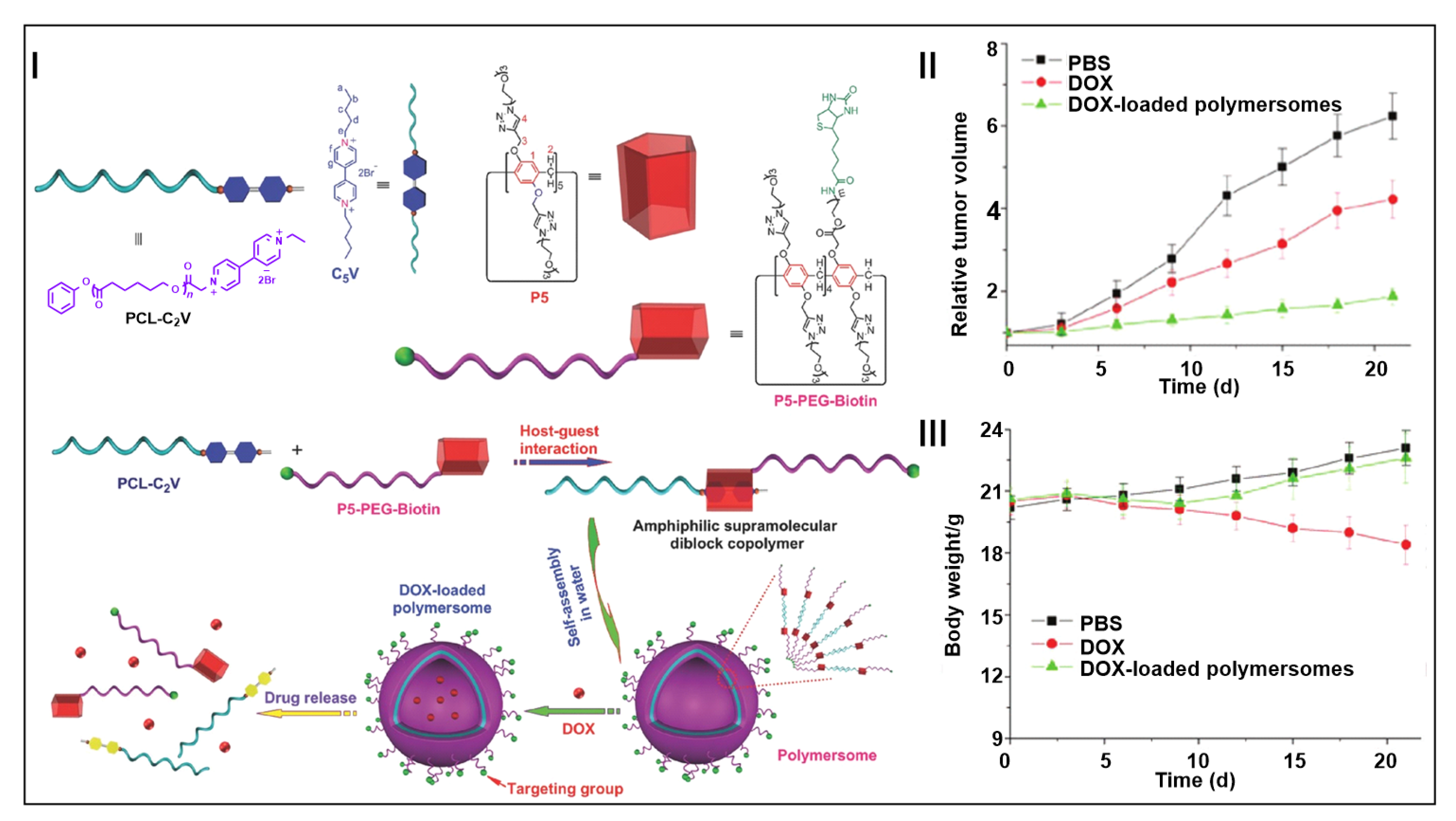 Molecules 28 01470 g009