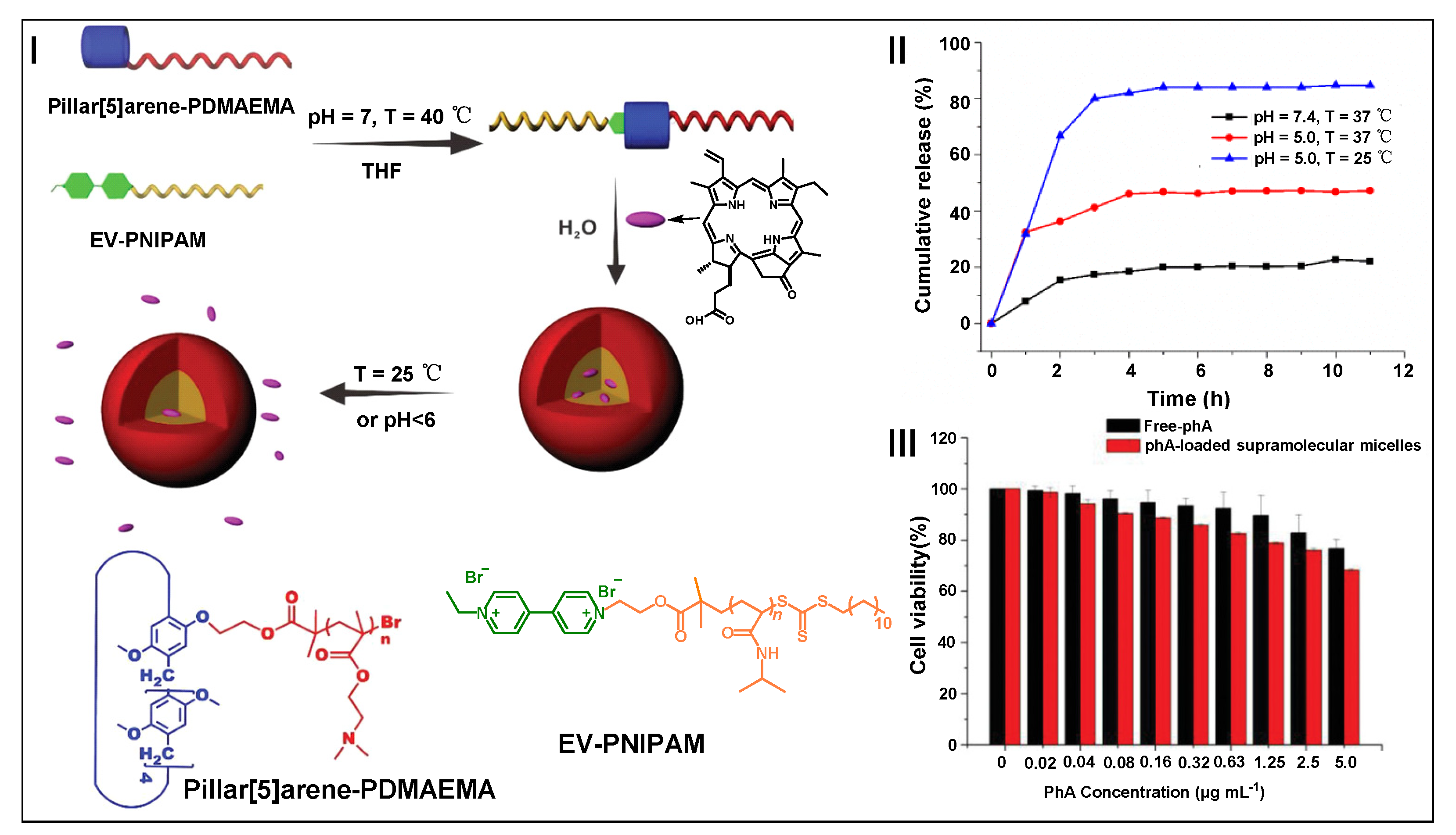 Molecules 28 01470 g010