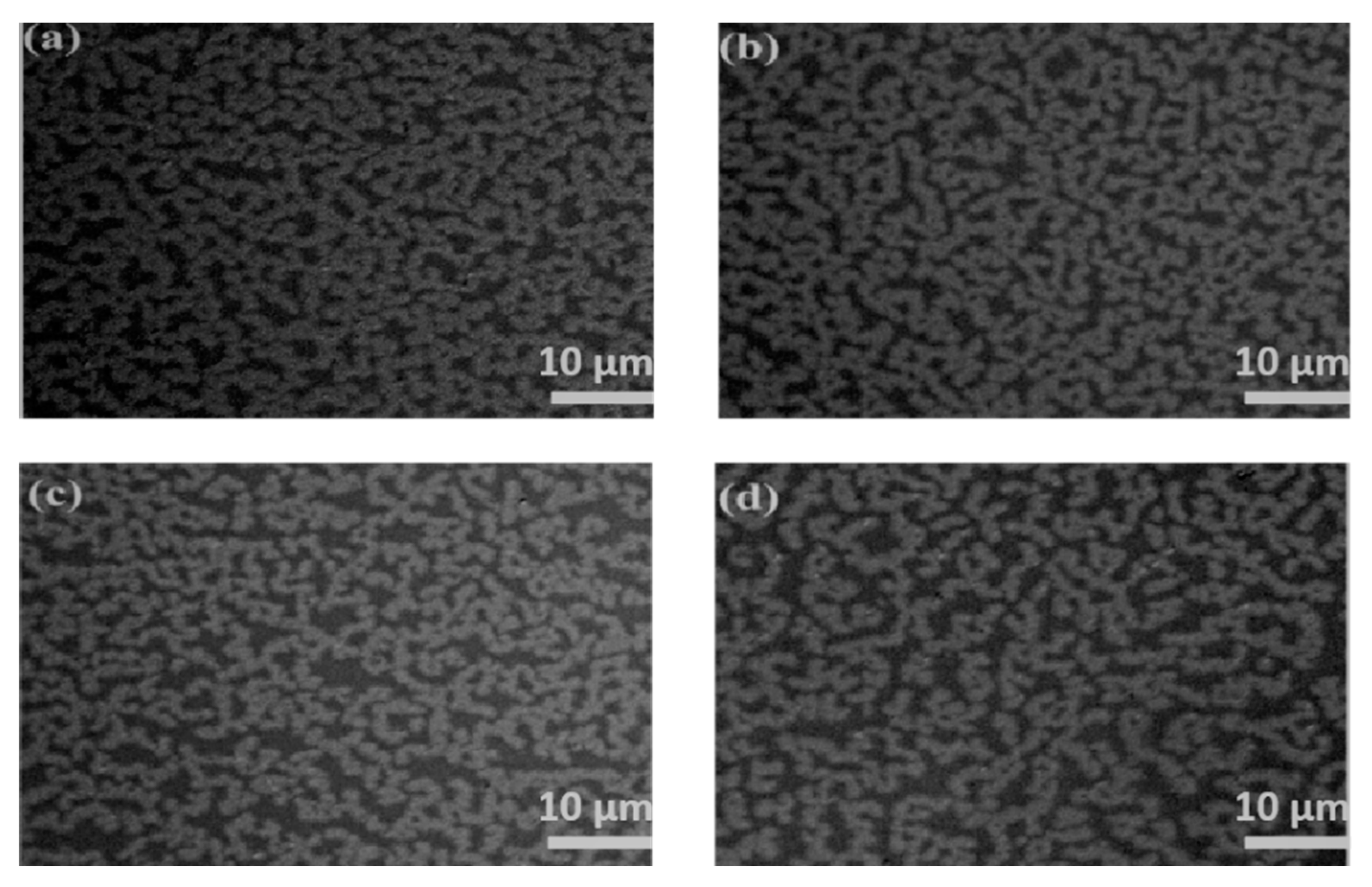 Molecules 28 01472 g002
