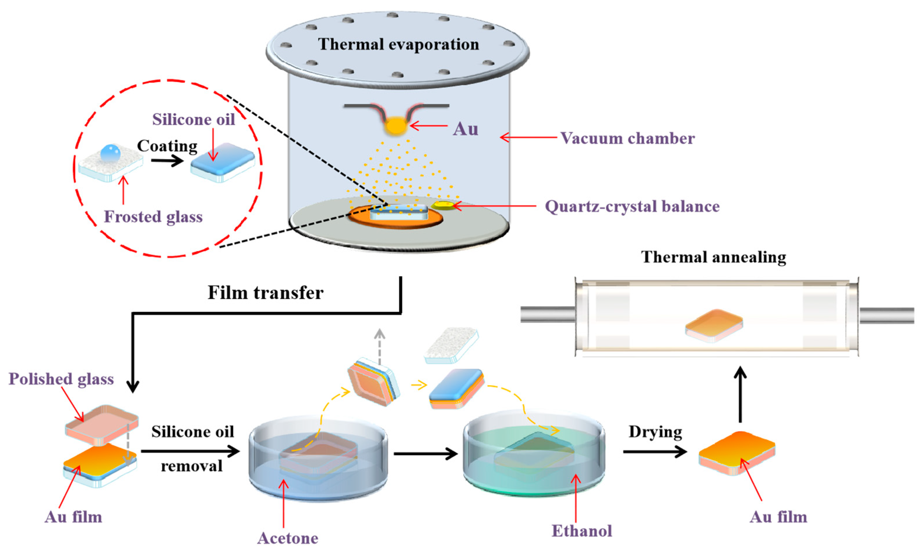 Molecules 28 01472 g007