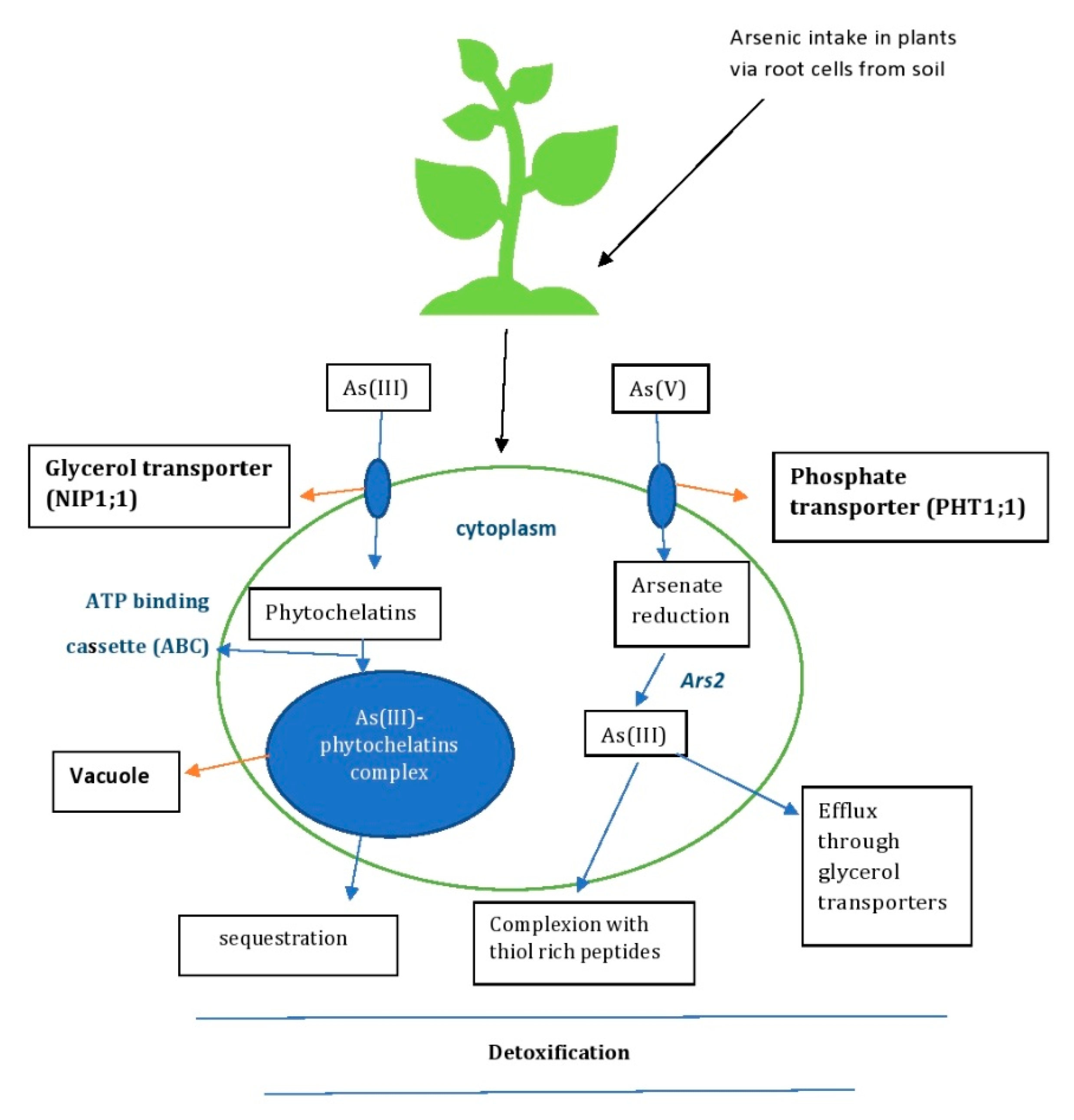 Molecules 28 01474 g005