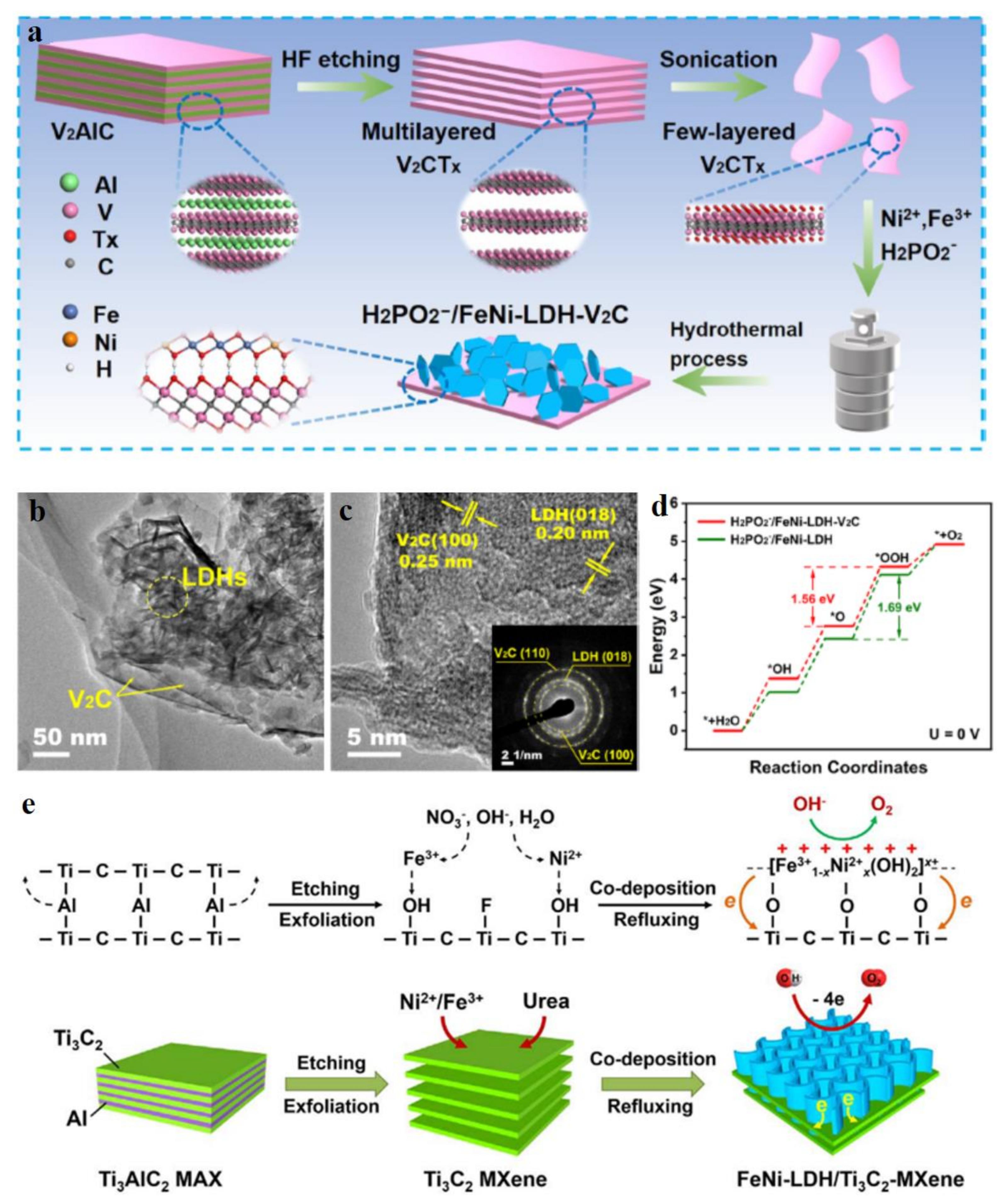 Molecules 28 01475 g010 Molecules 28 01475 g010