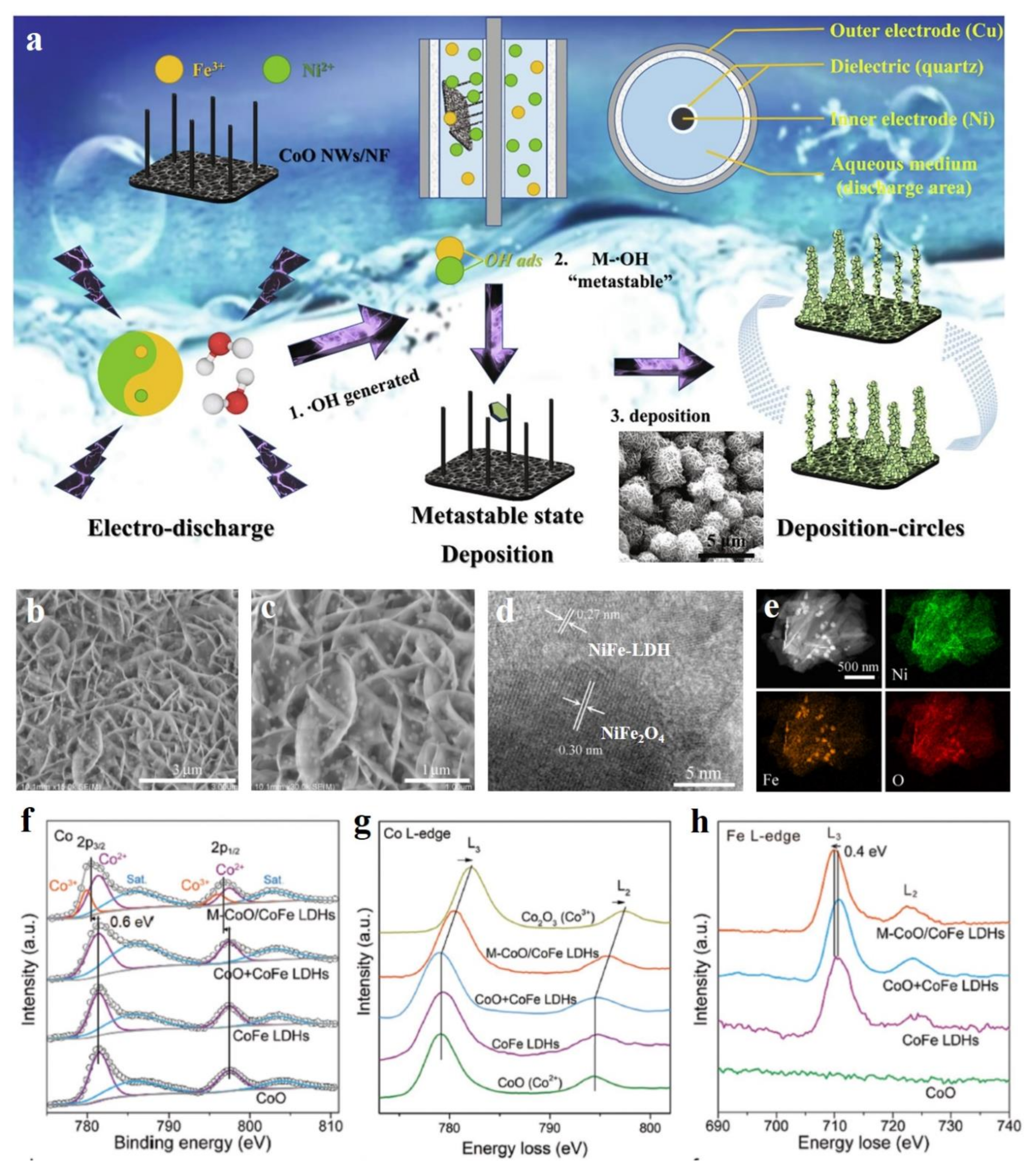 Molecules 28 01475 g011 Molecules 28 01475 g011