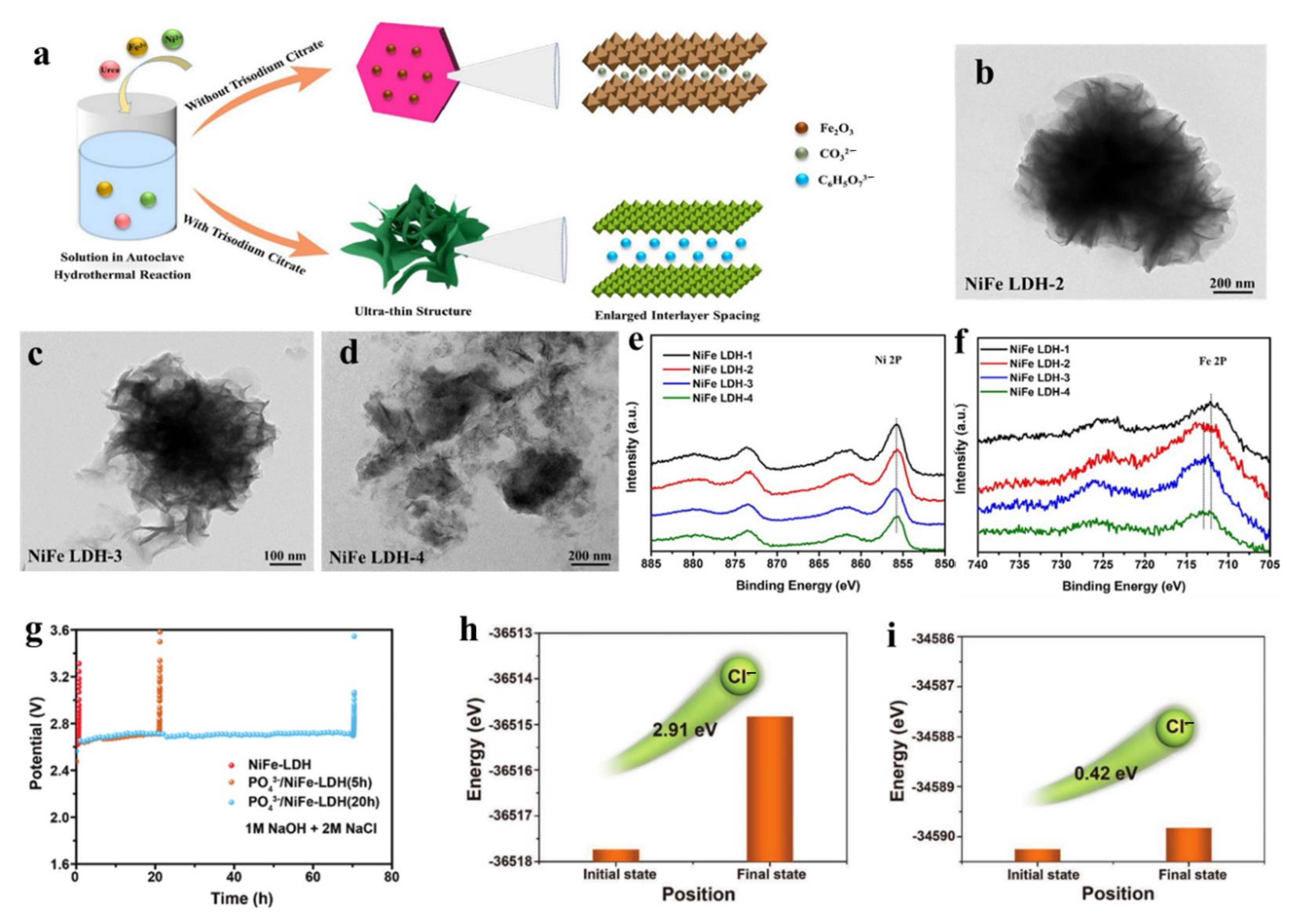 Molecules 28 01475 g014 Molecules 28 01475 g014