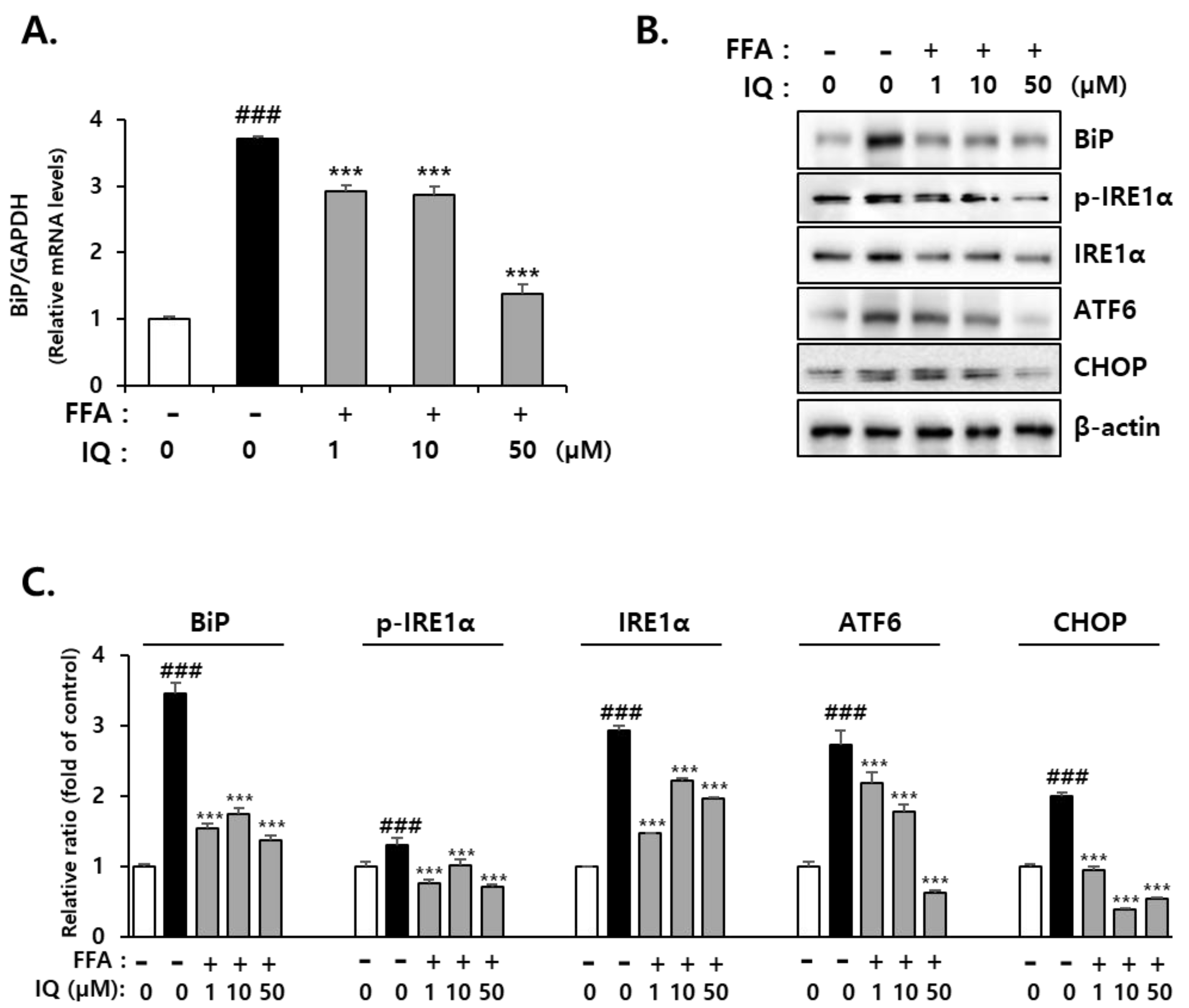 Molecules 28 01476 g003 Molecules 28 01476 g003